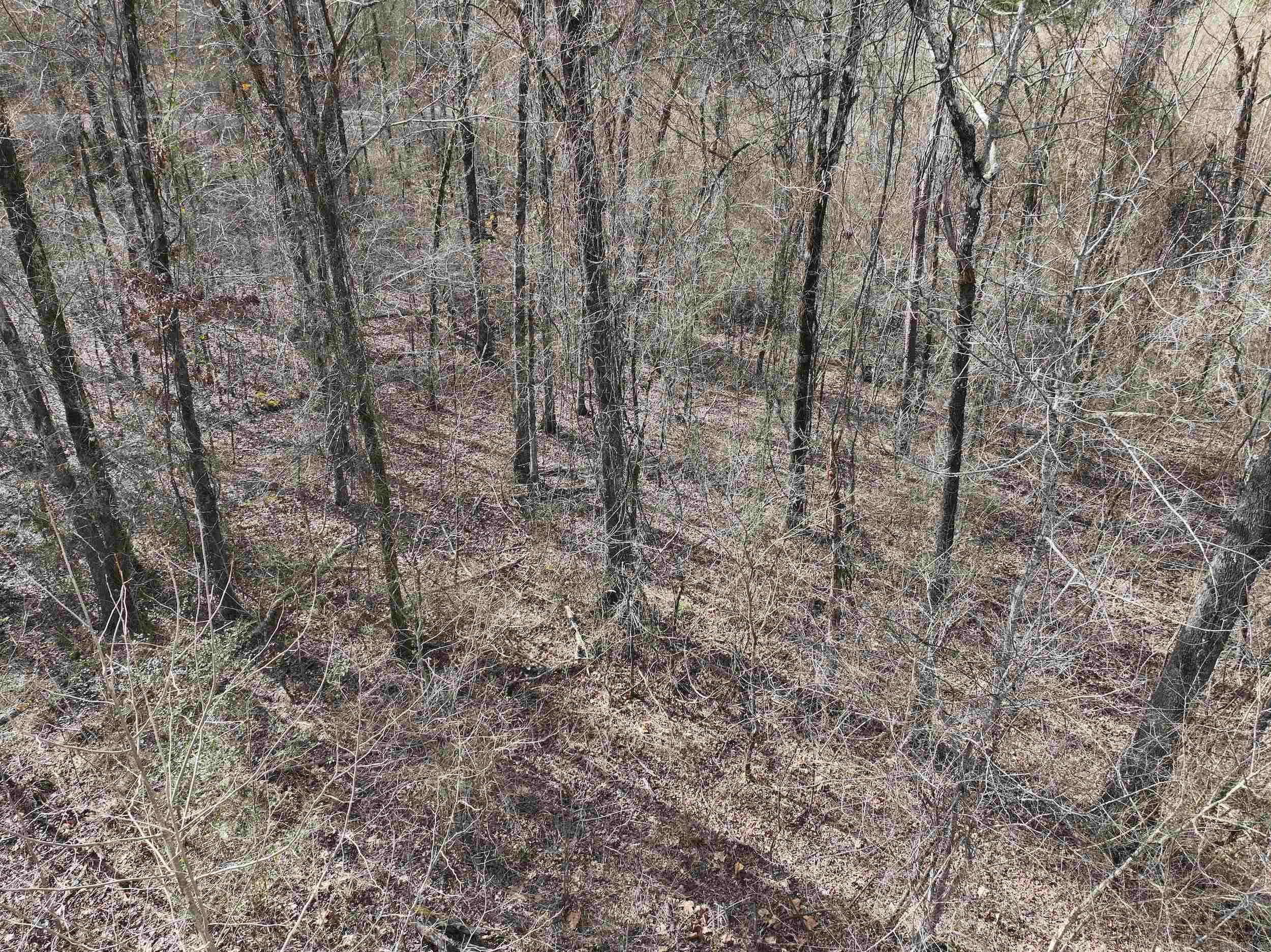 196  Pineview Estates  Mount Ida, AR