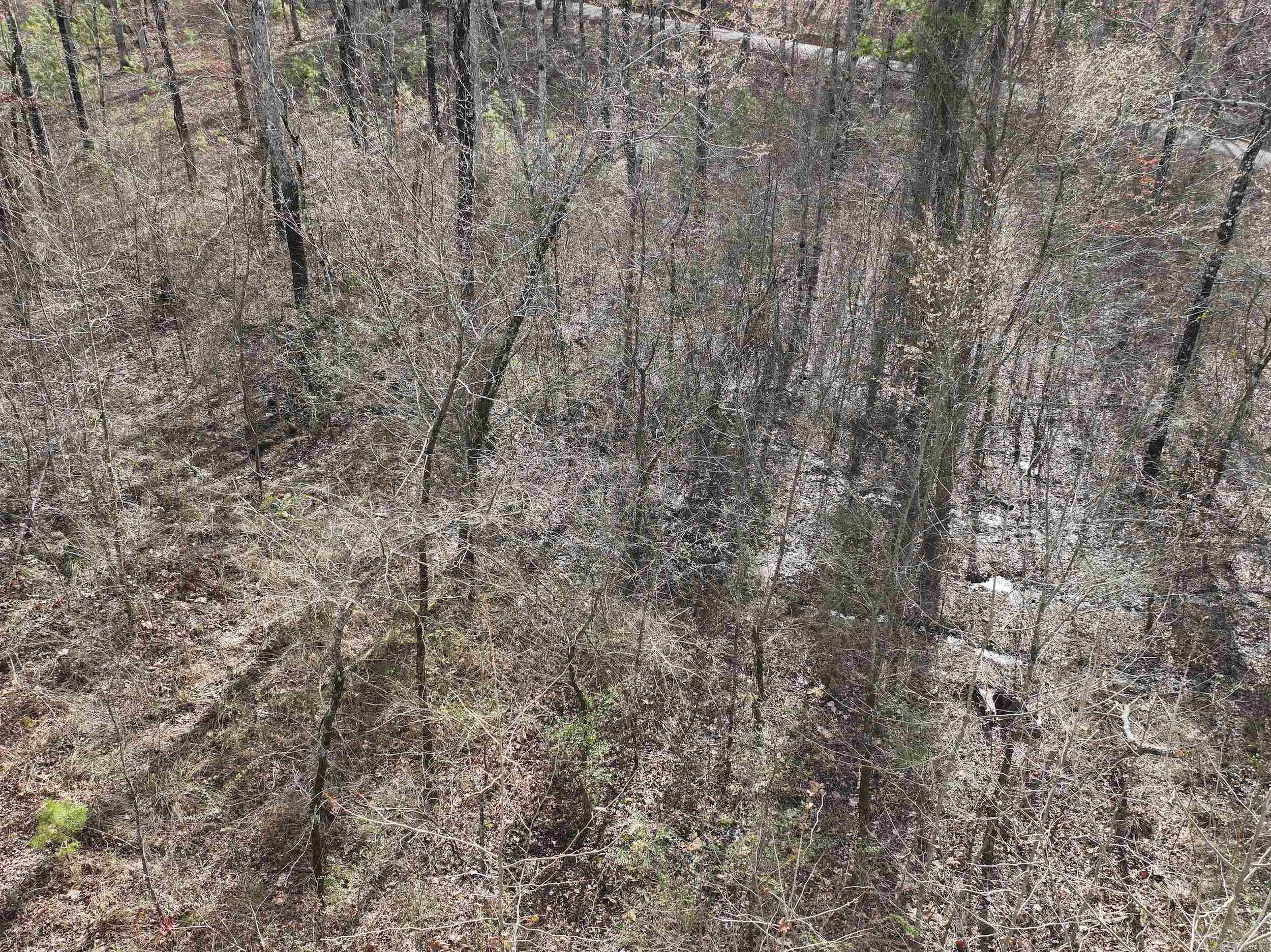 196  Pineview Estates  Mount Ida, AR