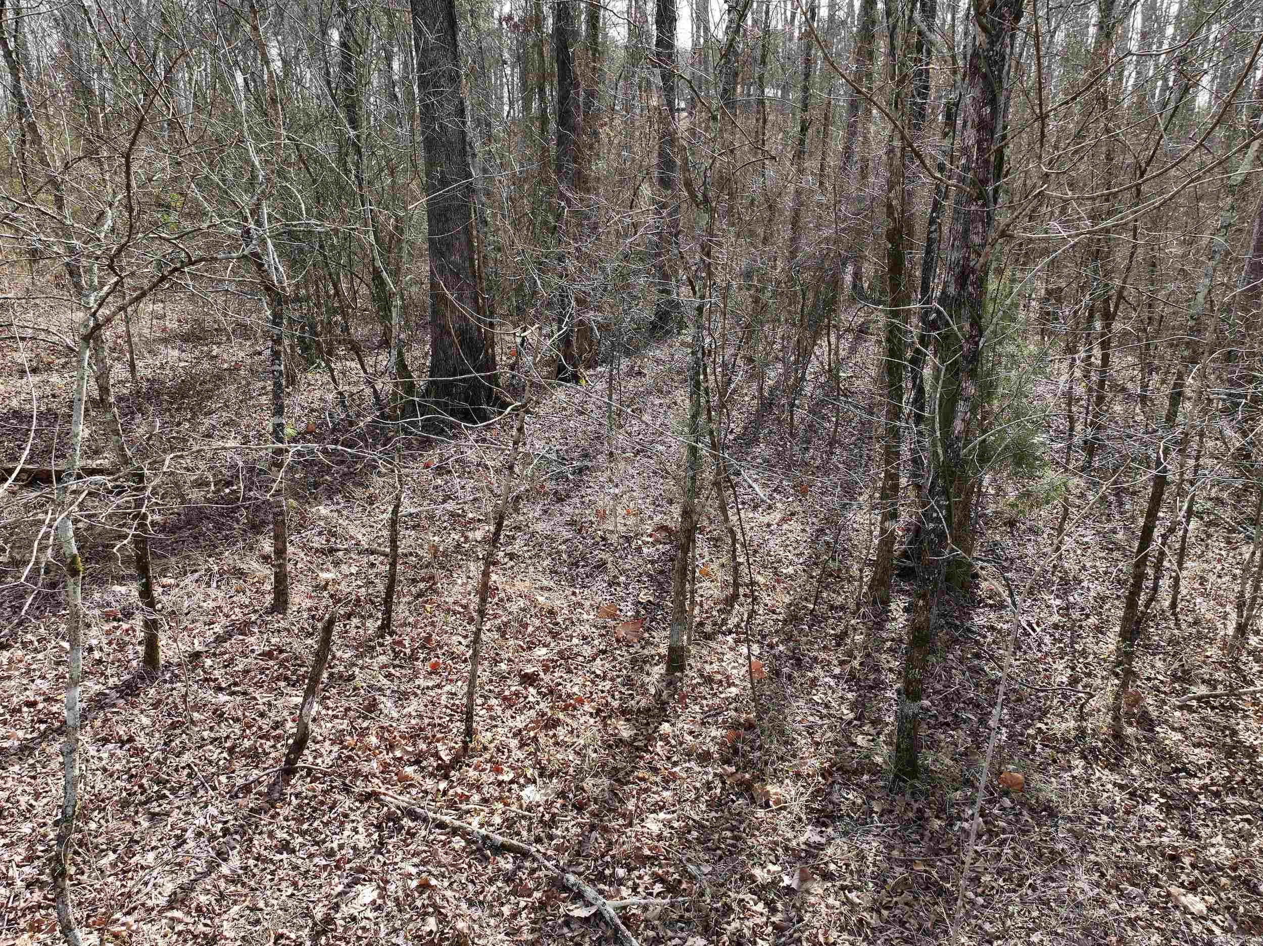 196  Pineview Estates  Mount Ida, AR