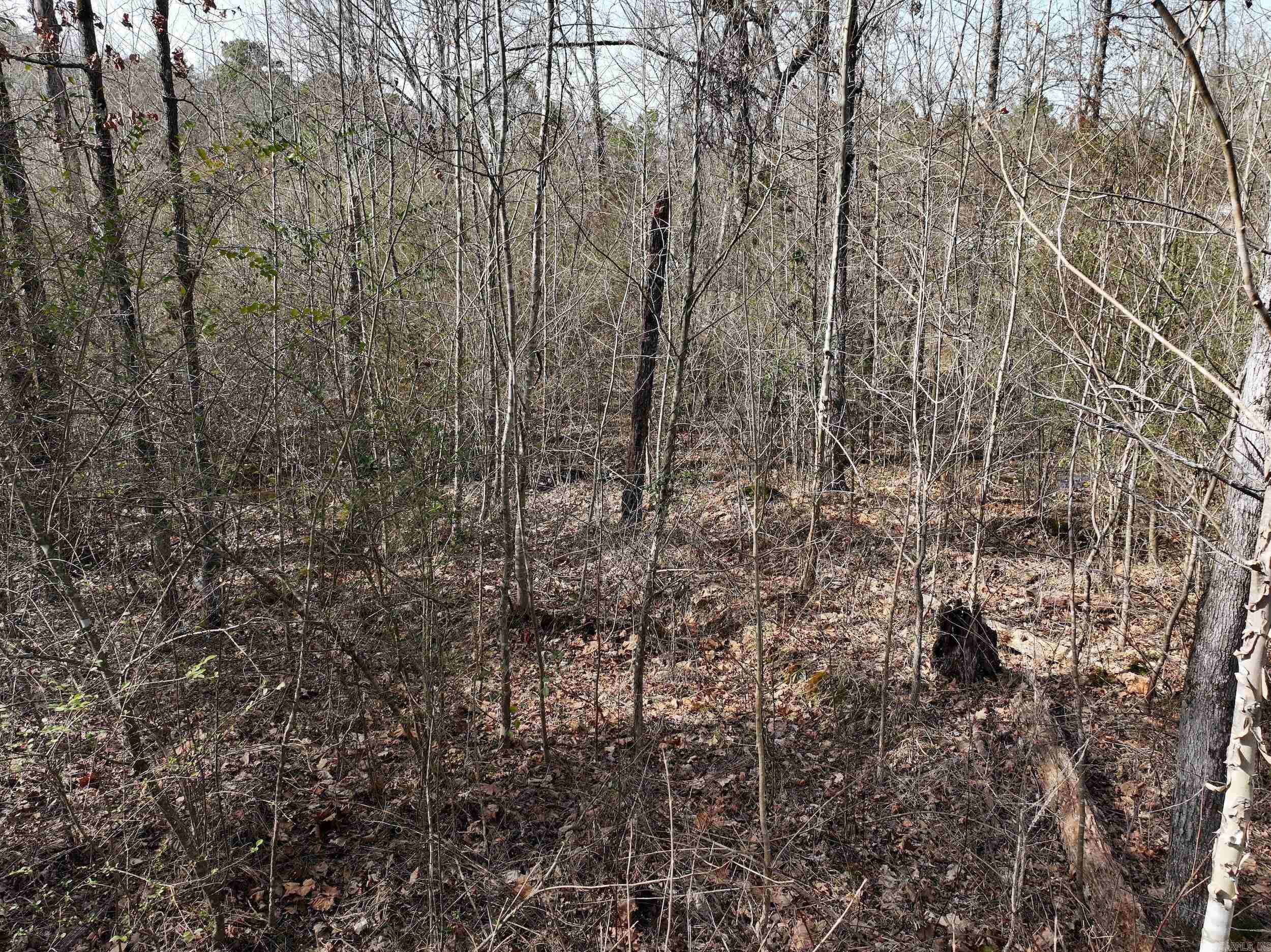 196  Pineview Estates  Mount Ida, AR