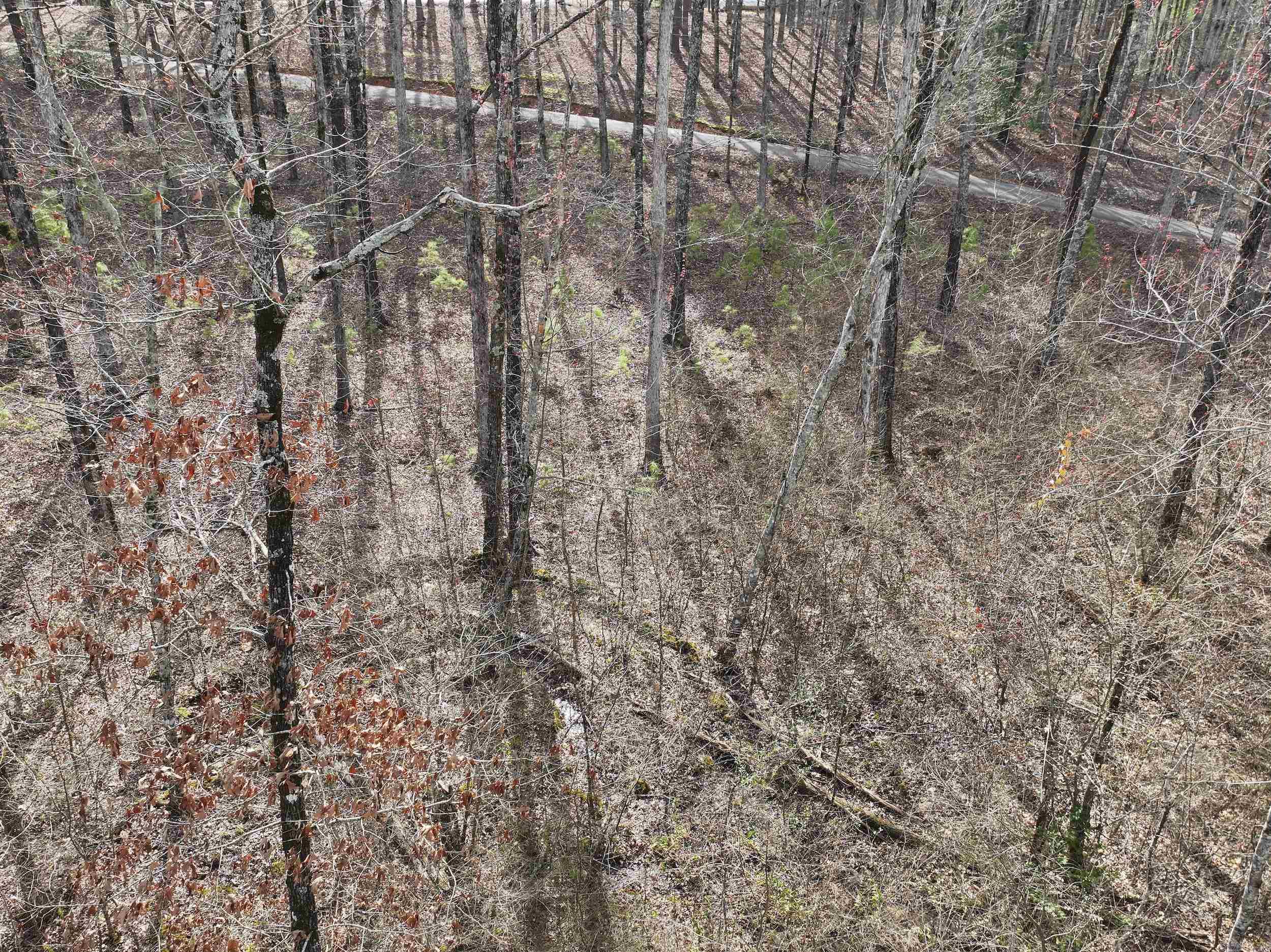 196  Pineview Estates  Mount Ida, AR
