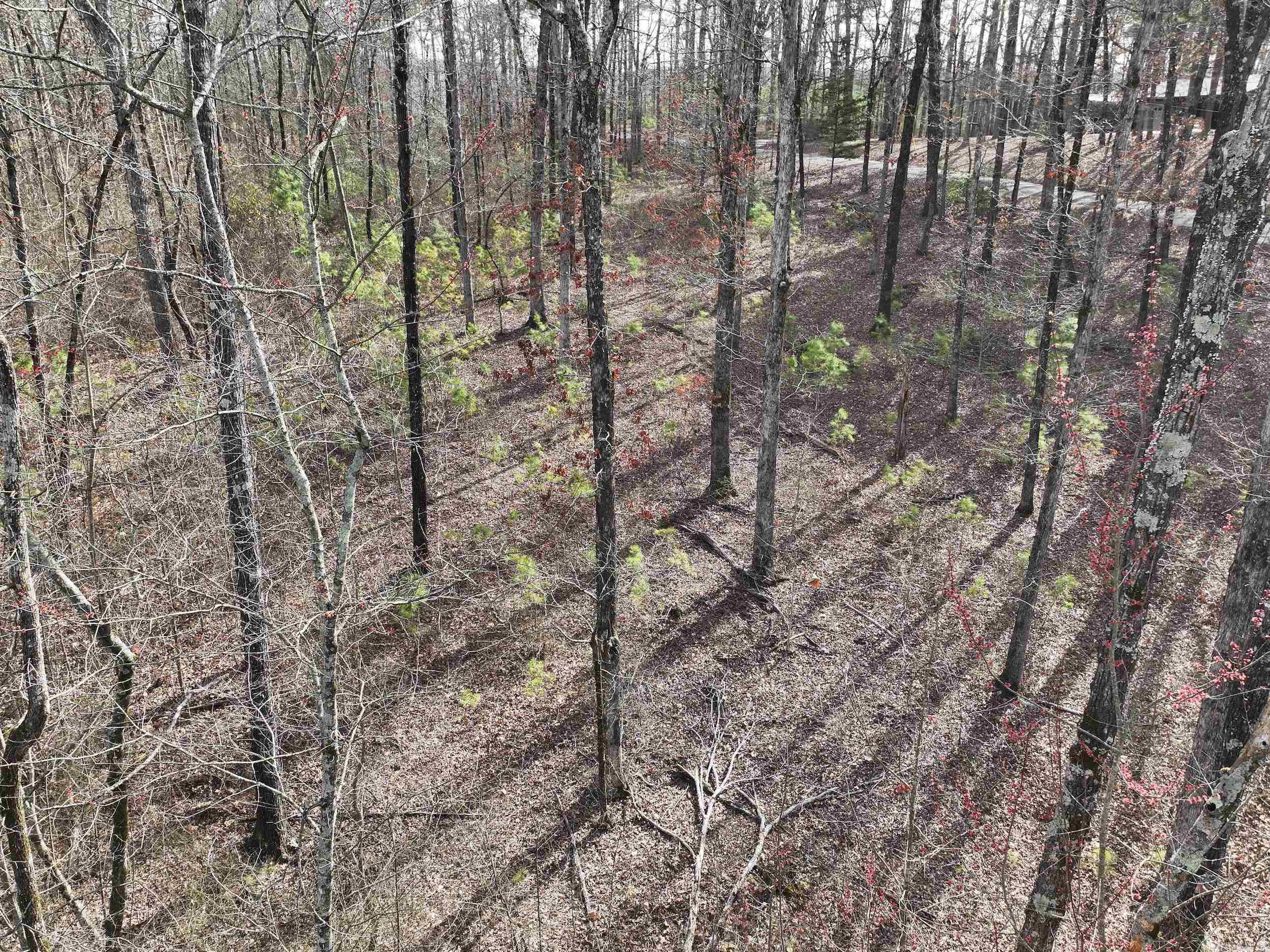 196  Pineview Estates  Mount Ida, AR