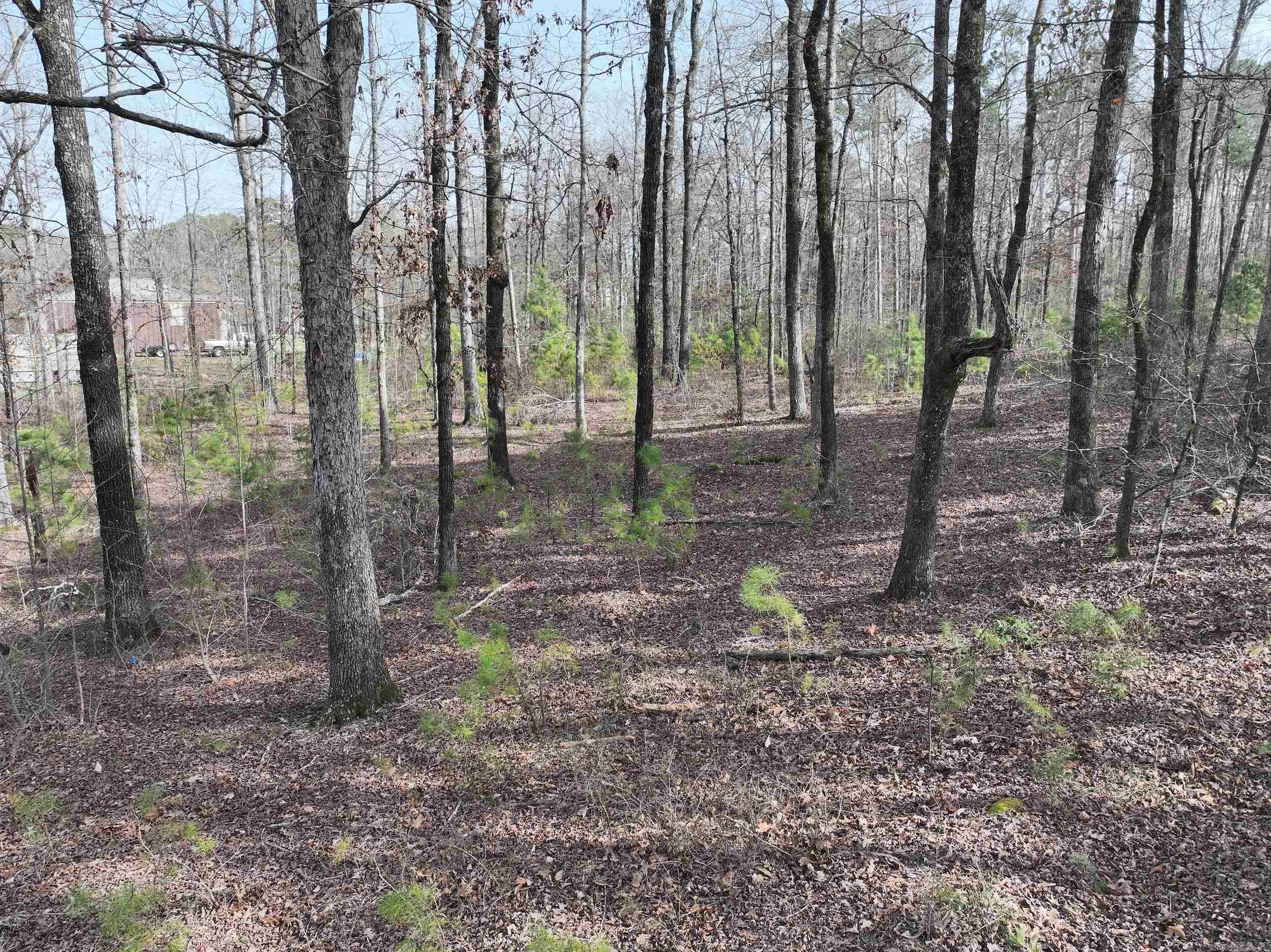 196  Pineview Estates  Mount Ida, AR