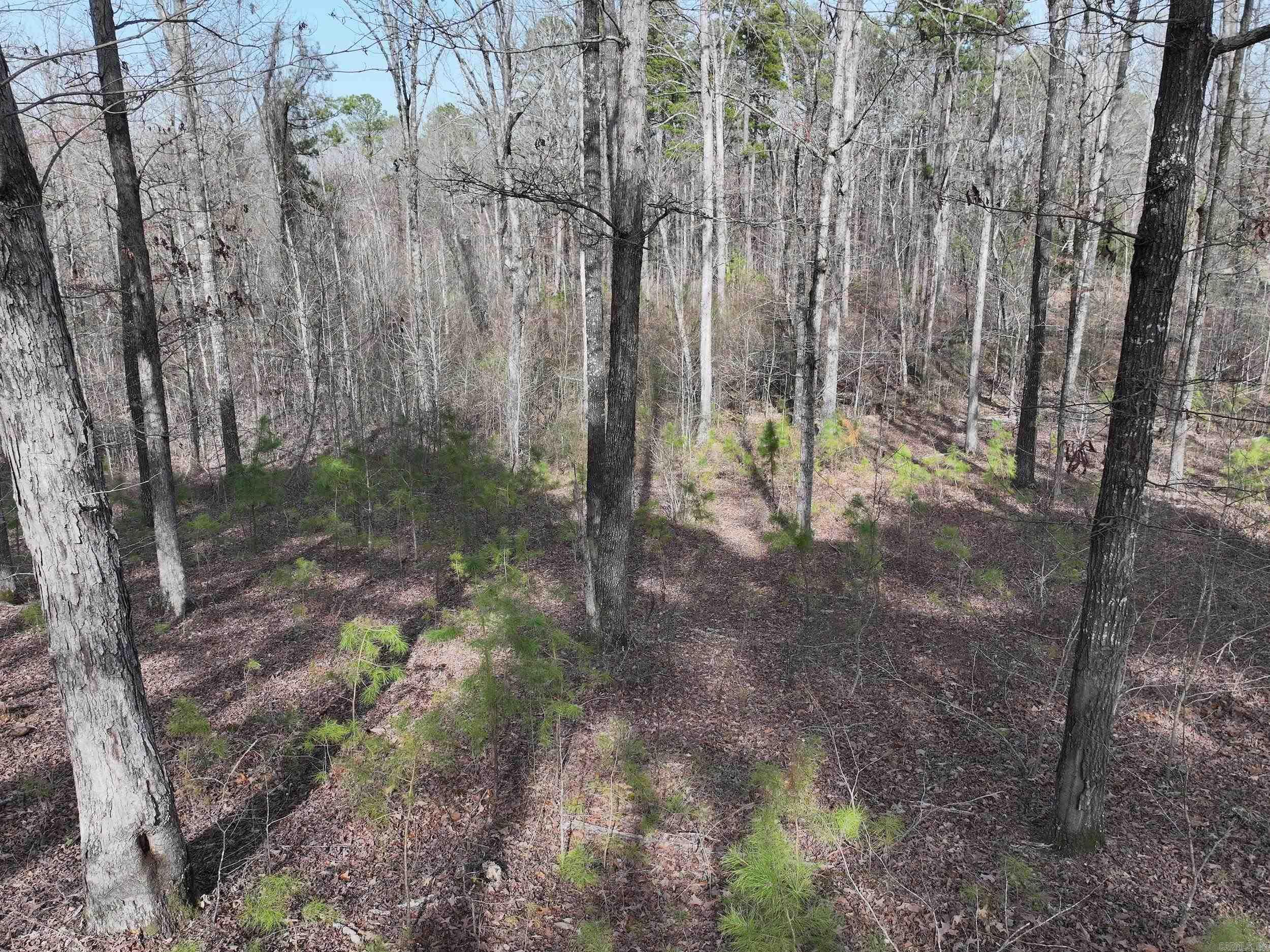 196  Pineview Estates  Mount Ida, AR
