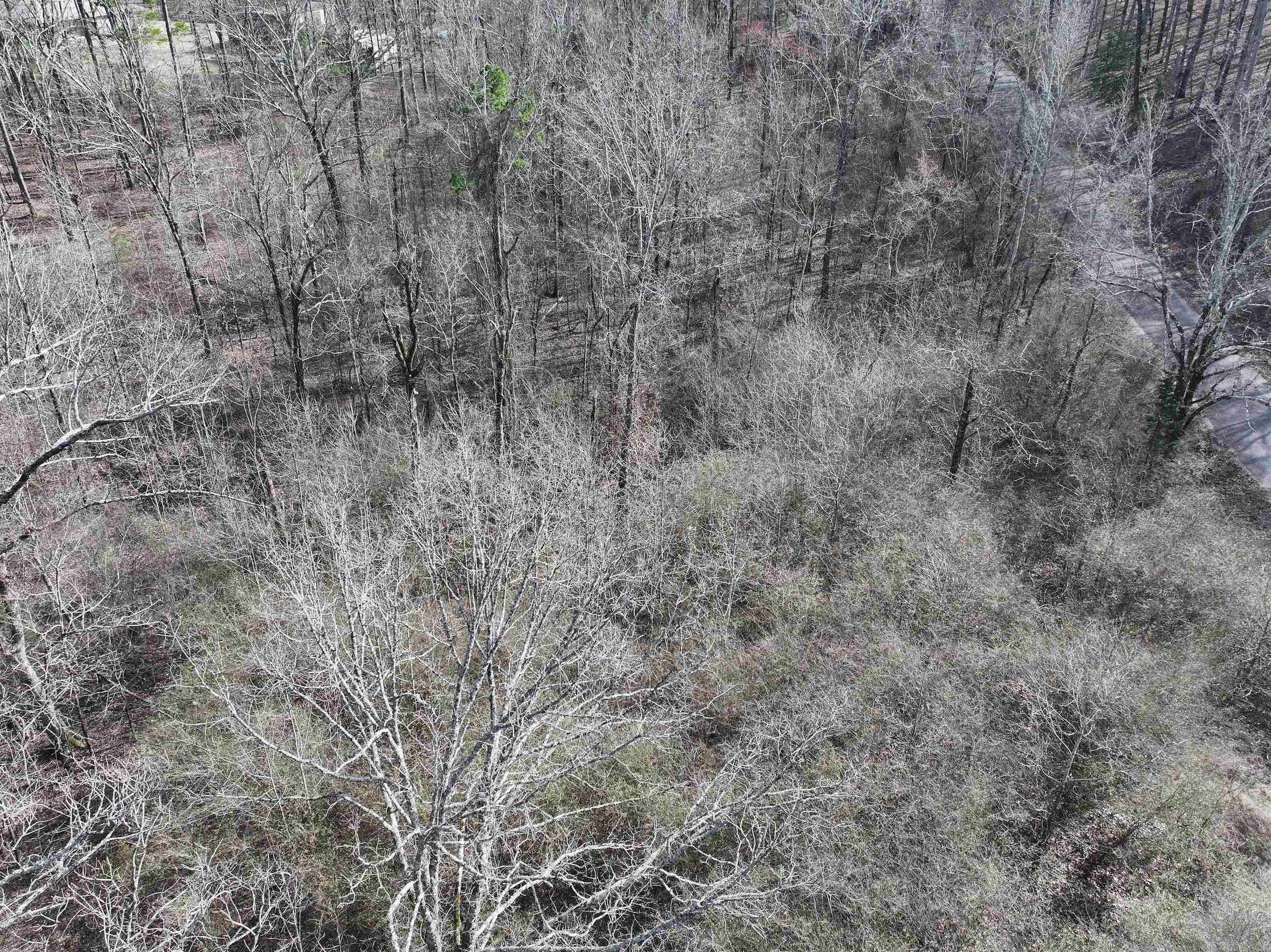 196  Pineview Estates  Mount Ida, AR