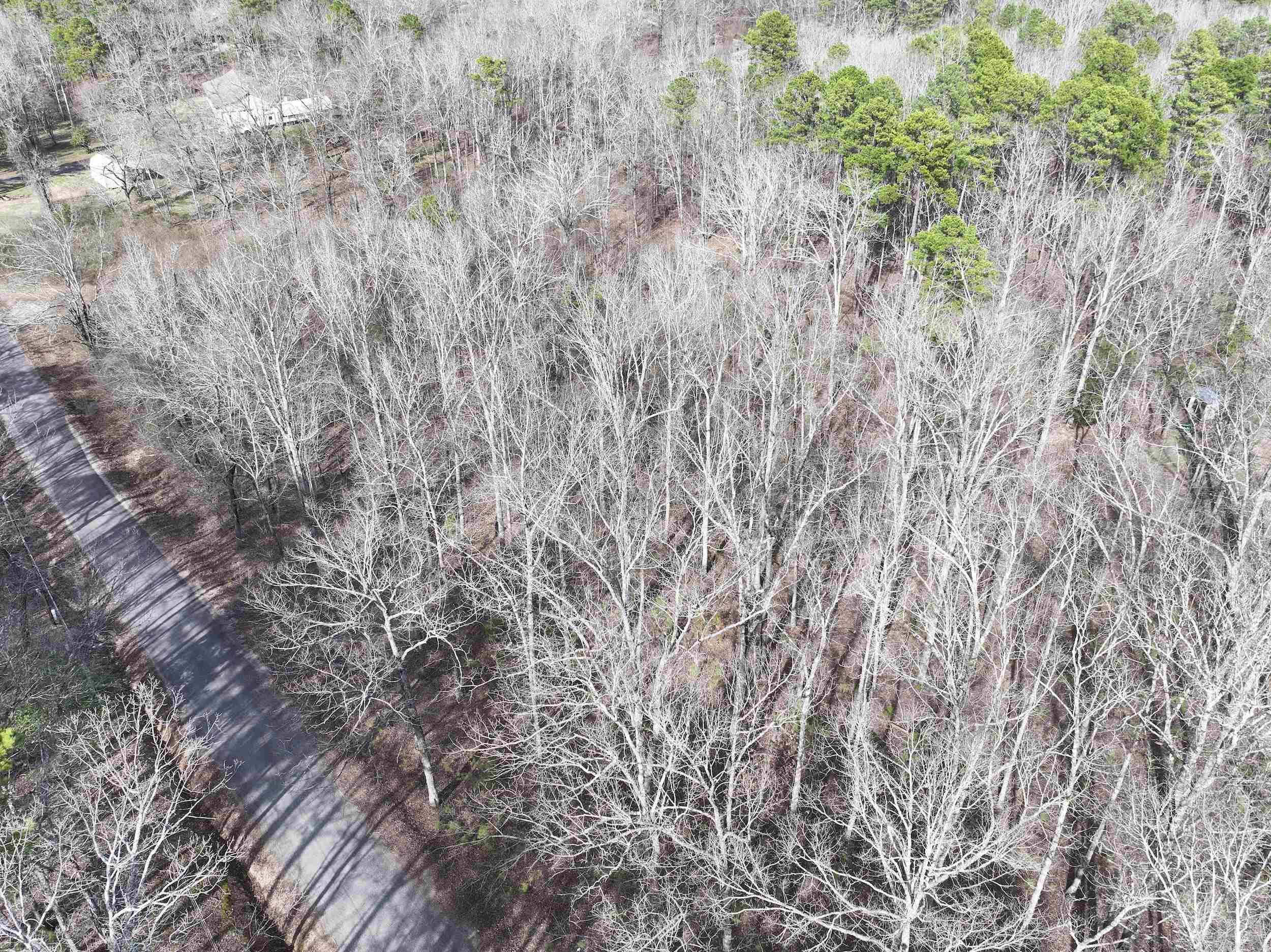 196  Pineview Estates  Mount Ida, AR