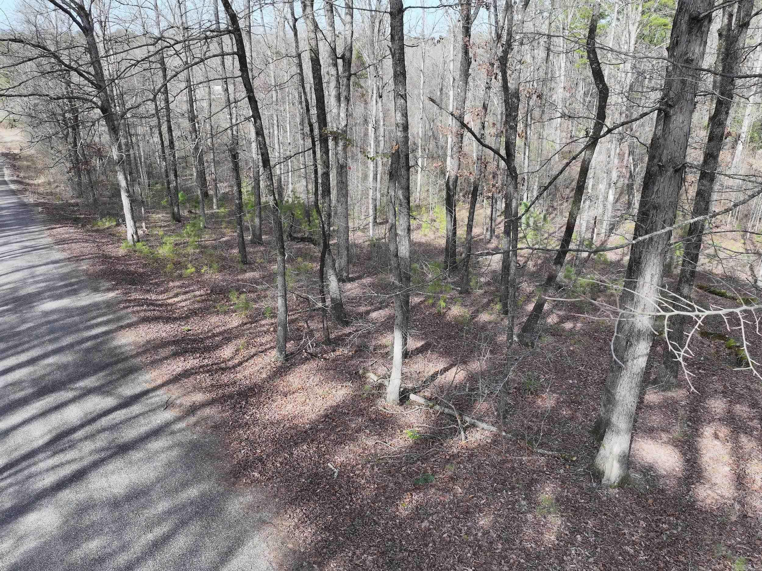 196  Pineview Estates  Mount Ida, AR