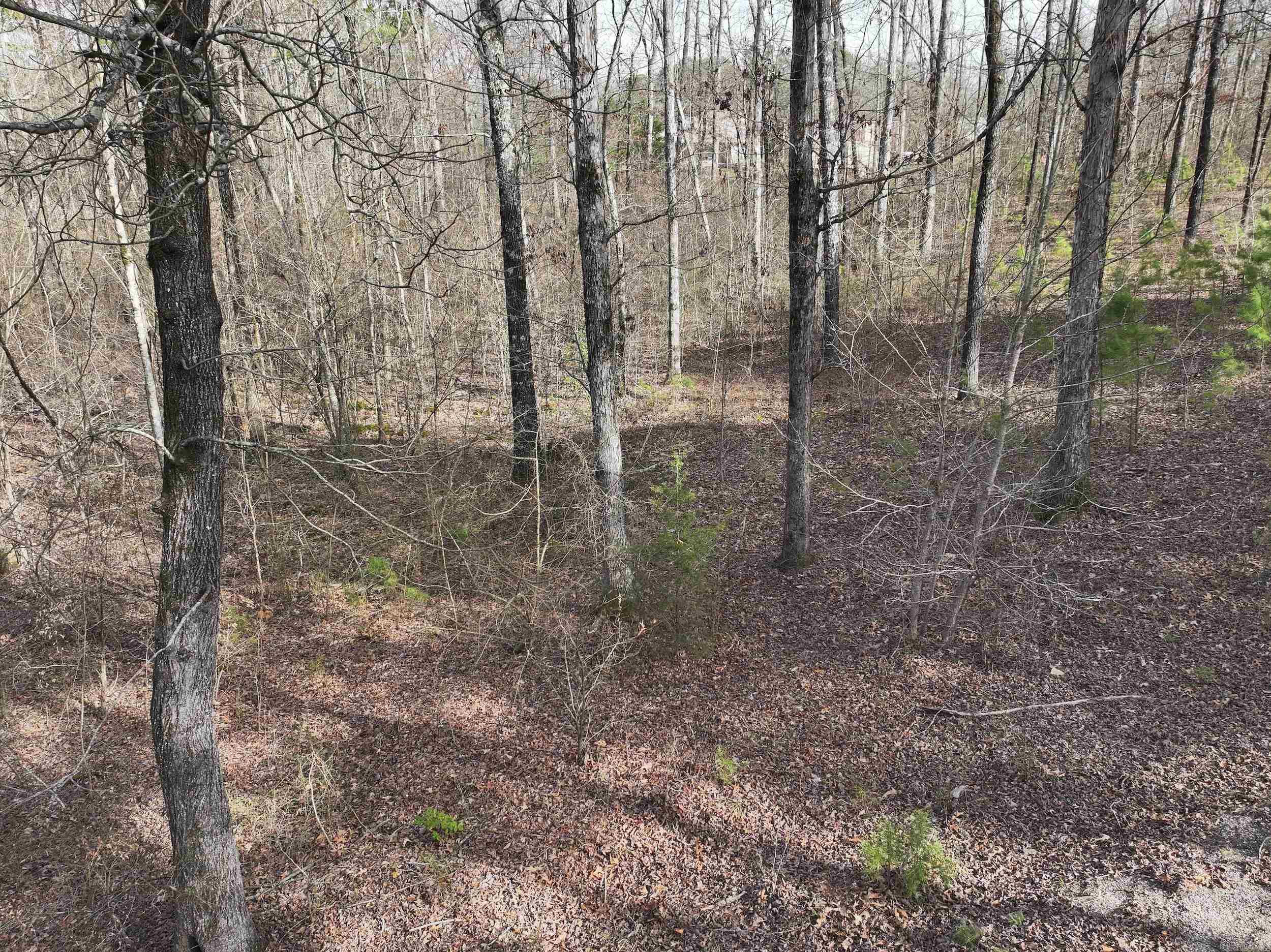196  Pineview Estates  Mount Ida, AR