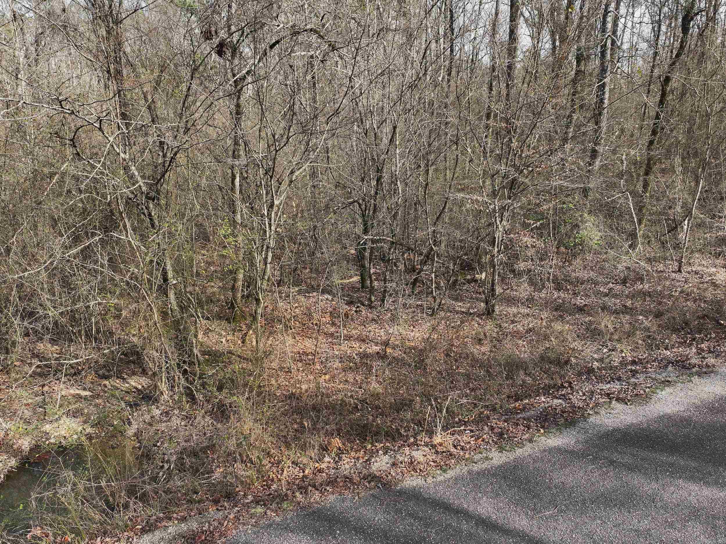 196  Pineview Estates  Mount Ida, AR