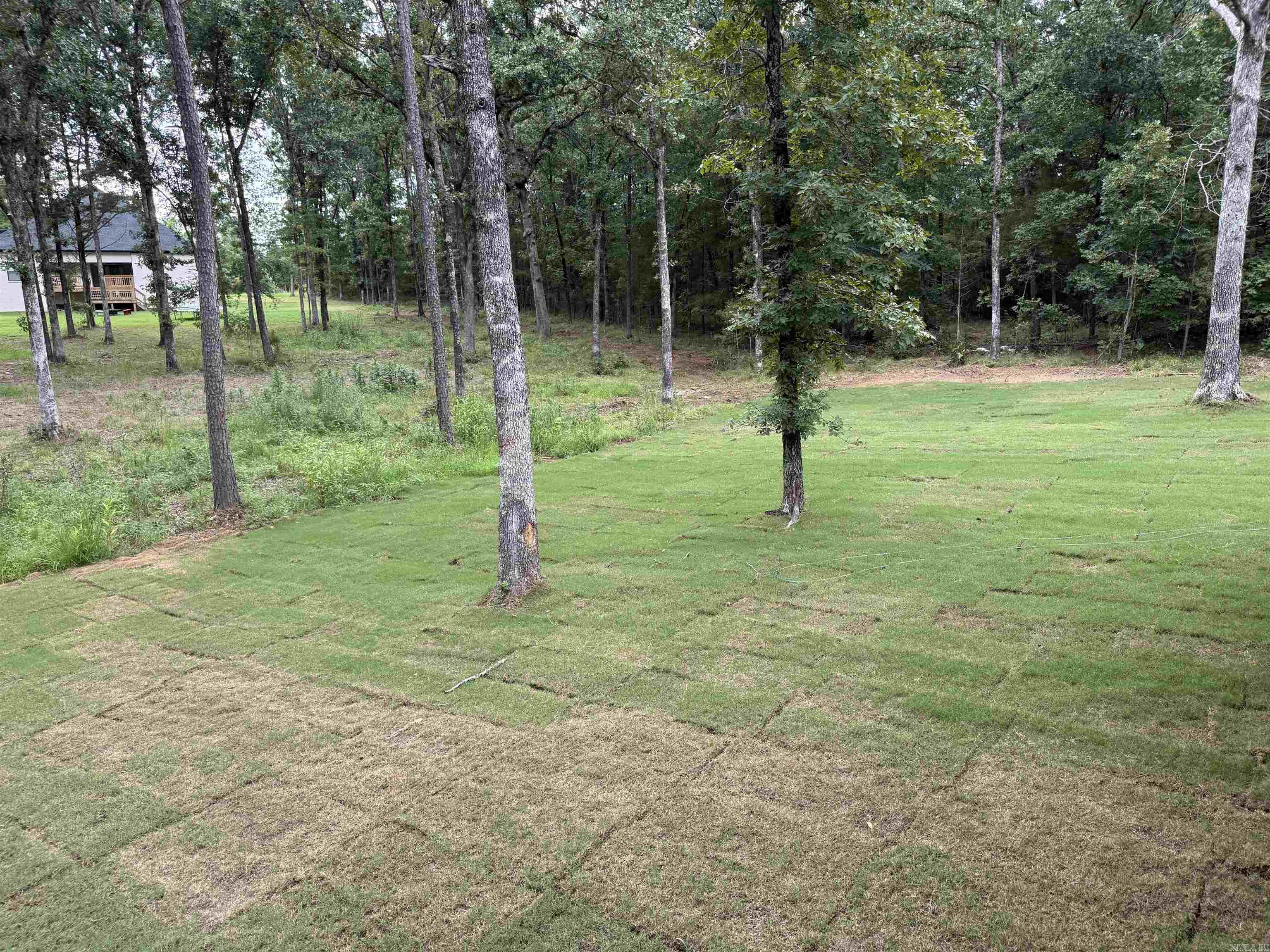8 Hawks Point Edgemont, AR 72044