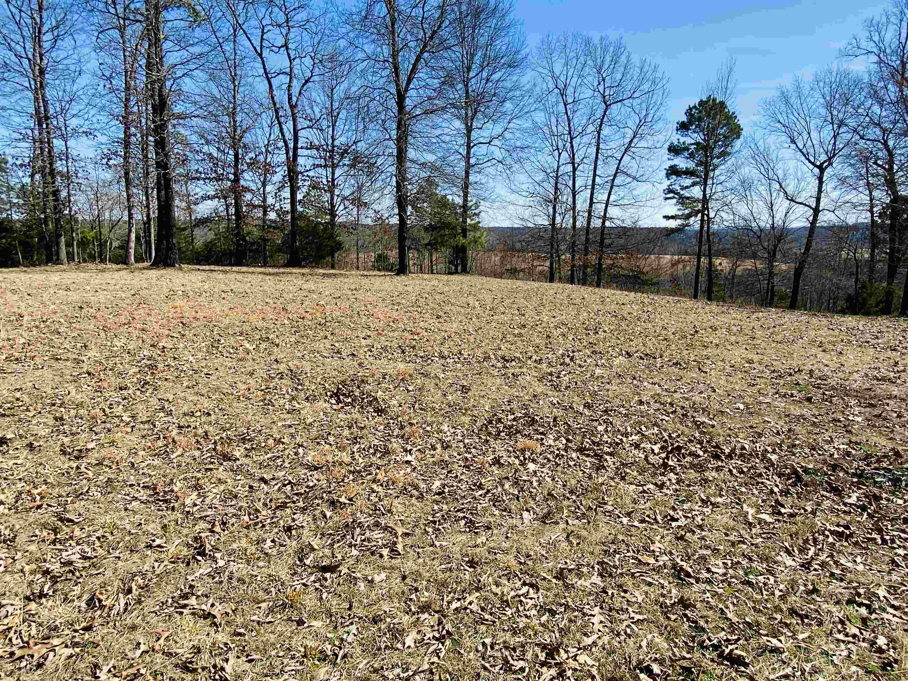 Lots 6,7,8  River Bend Ridge  Calico Rock, AR