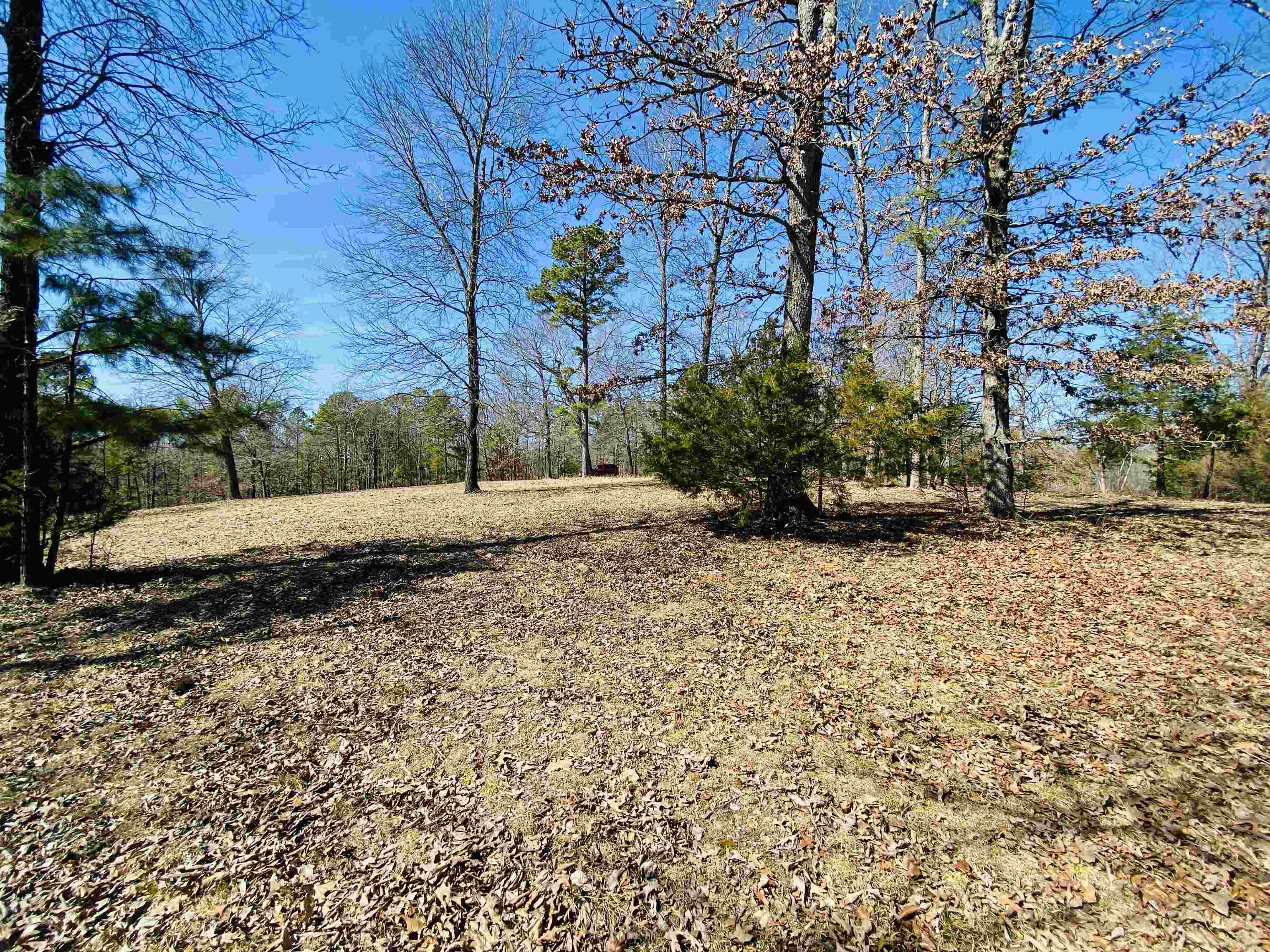 Lots 6,7,8  River Bend Ridge  Calico Rock, AR