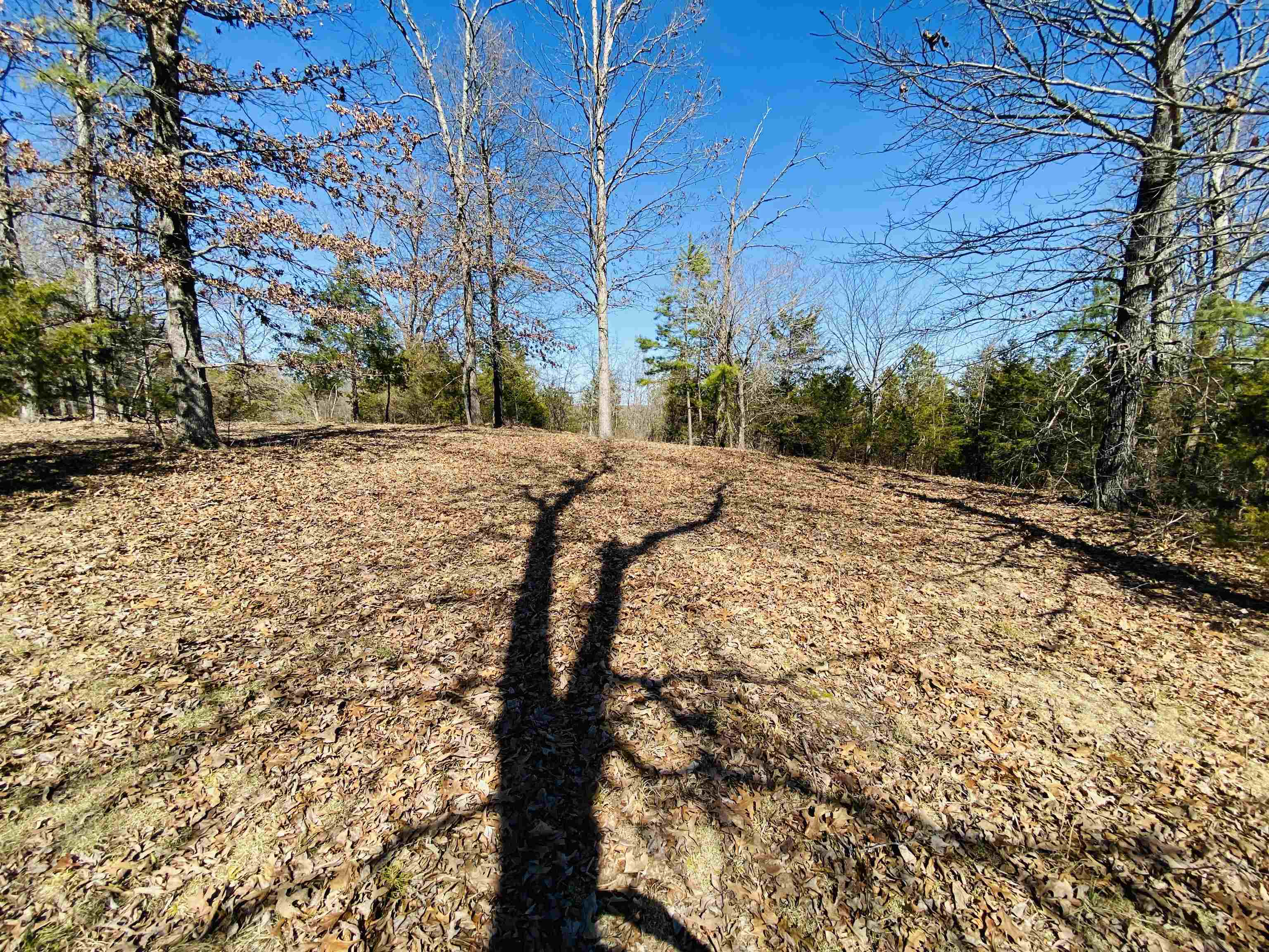 Lots 6,7,8  River Bend Ridge  Calico Rock, AR