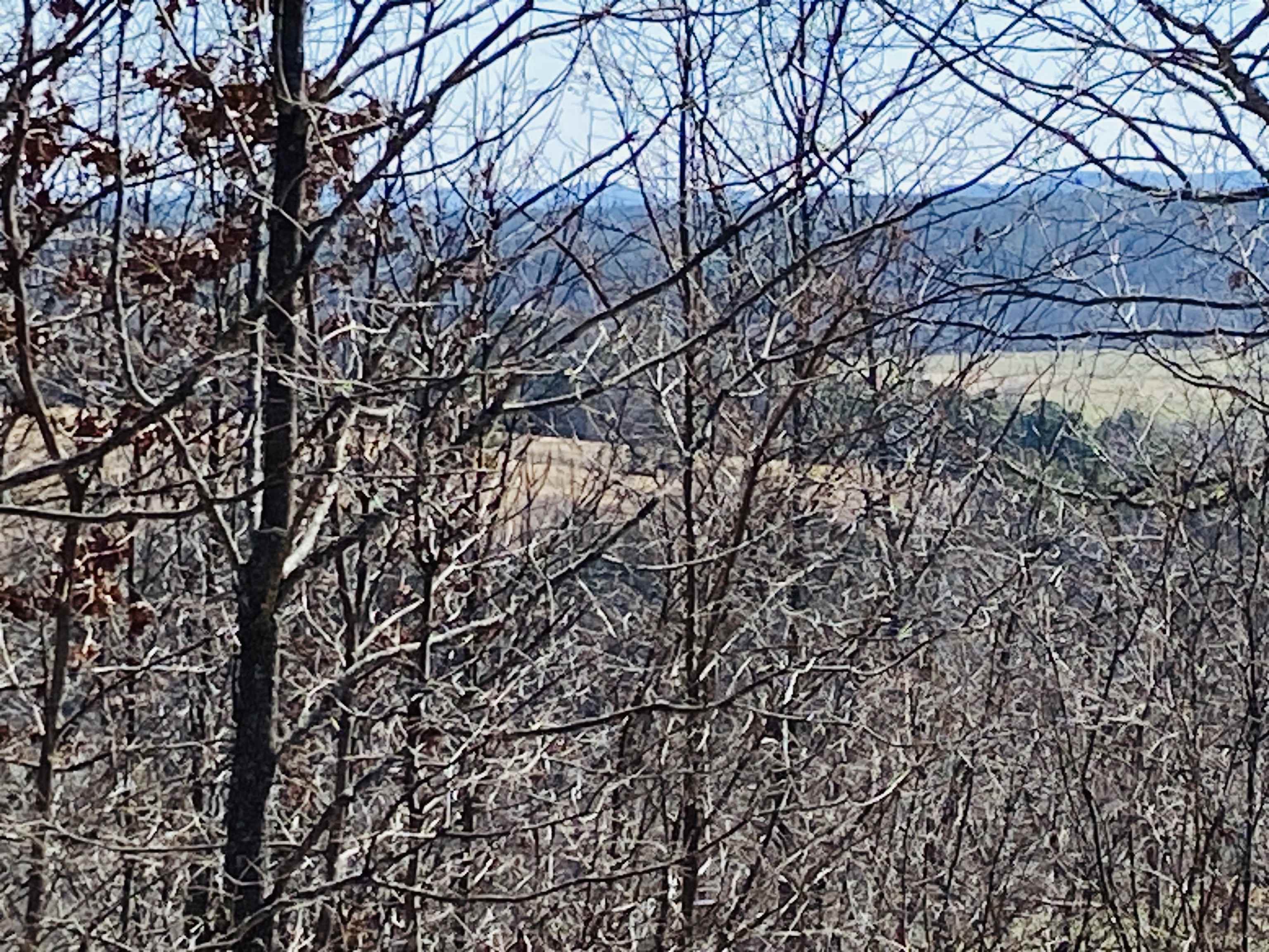 Lots 6,7,8  River Bend Ridge  Calico Rock, AR