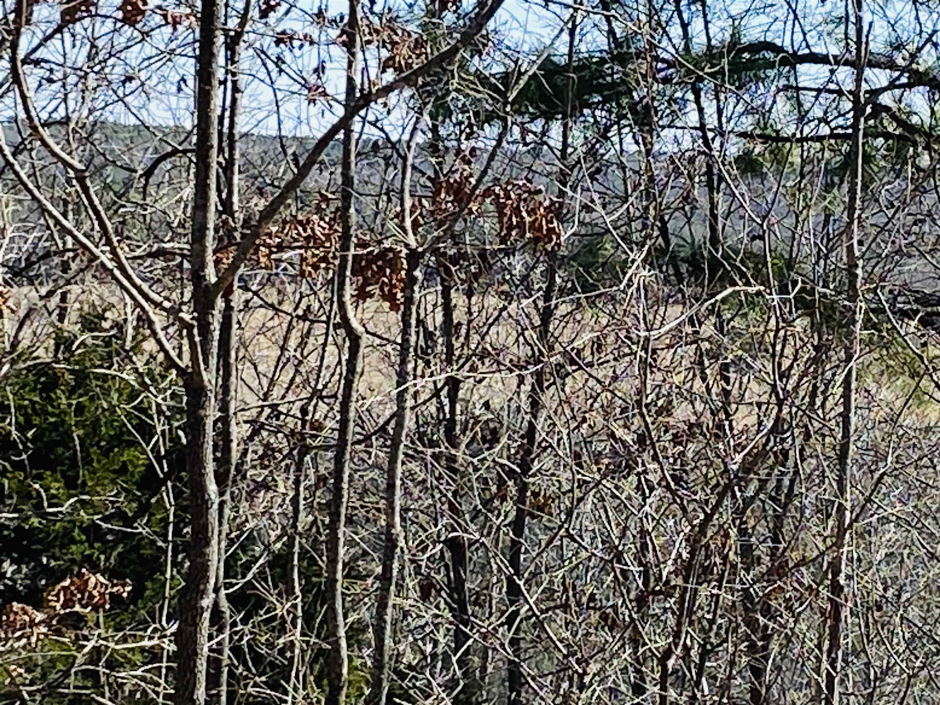 Lots 6,7,8  River Bend Ridge  Calico Rock, AR