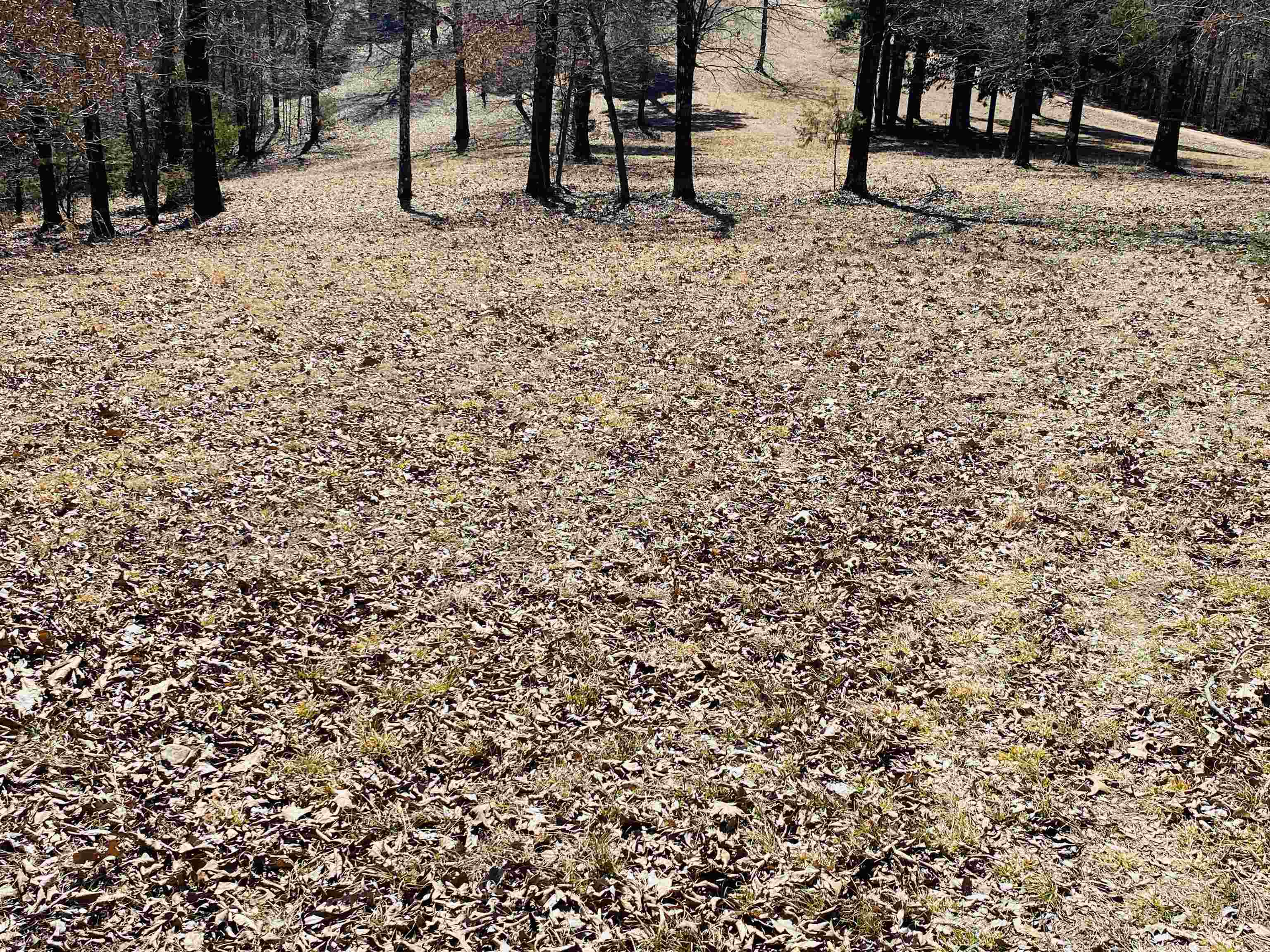 Lots 6,7,8  River Bend Ridge  Calico Rock, AR