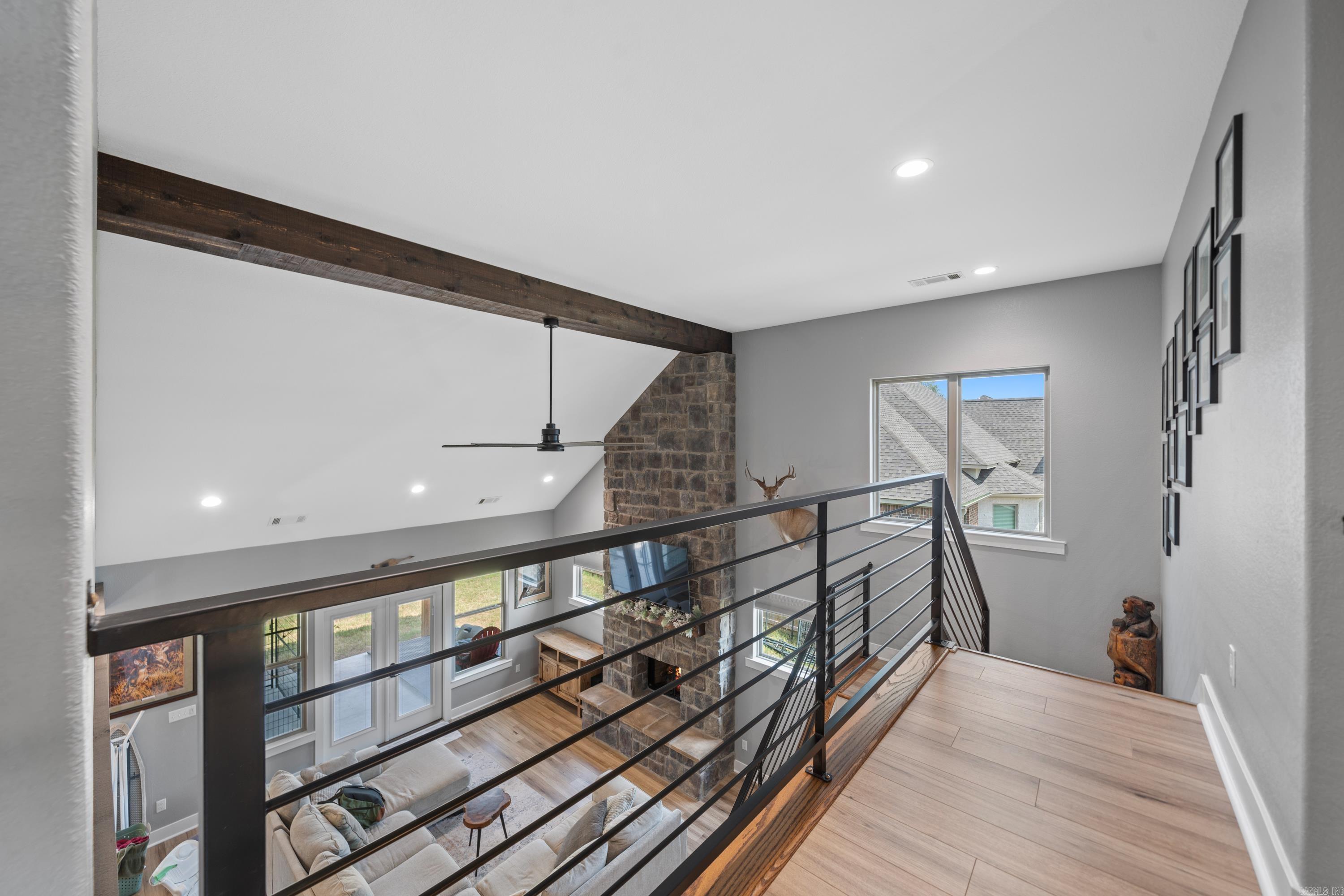 117  Coneflower  Hot Springs, AR