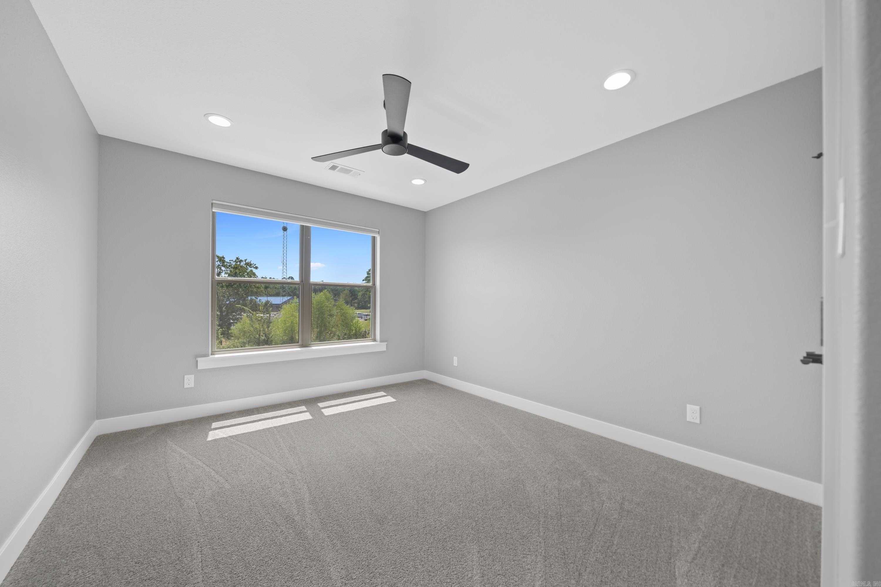 117  Coneflower  Hot Springs, AR