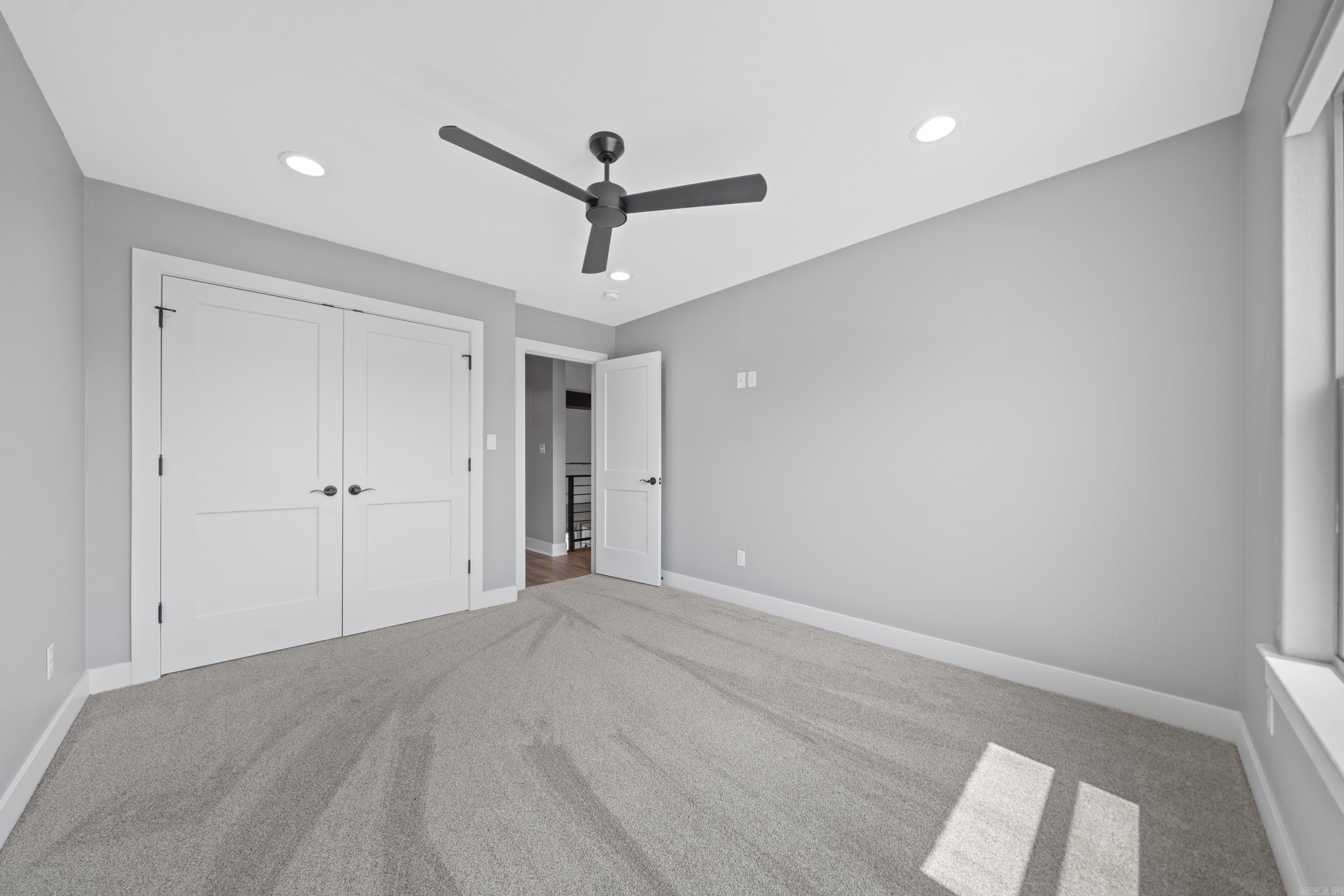 117  Coneflower  Hot Springs, AR