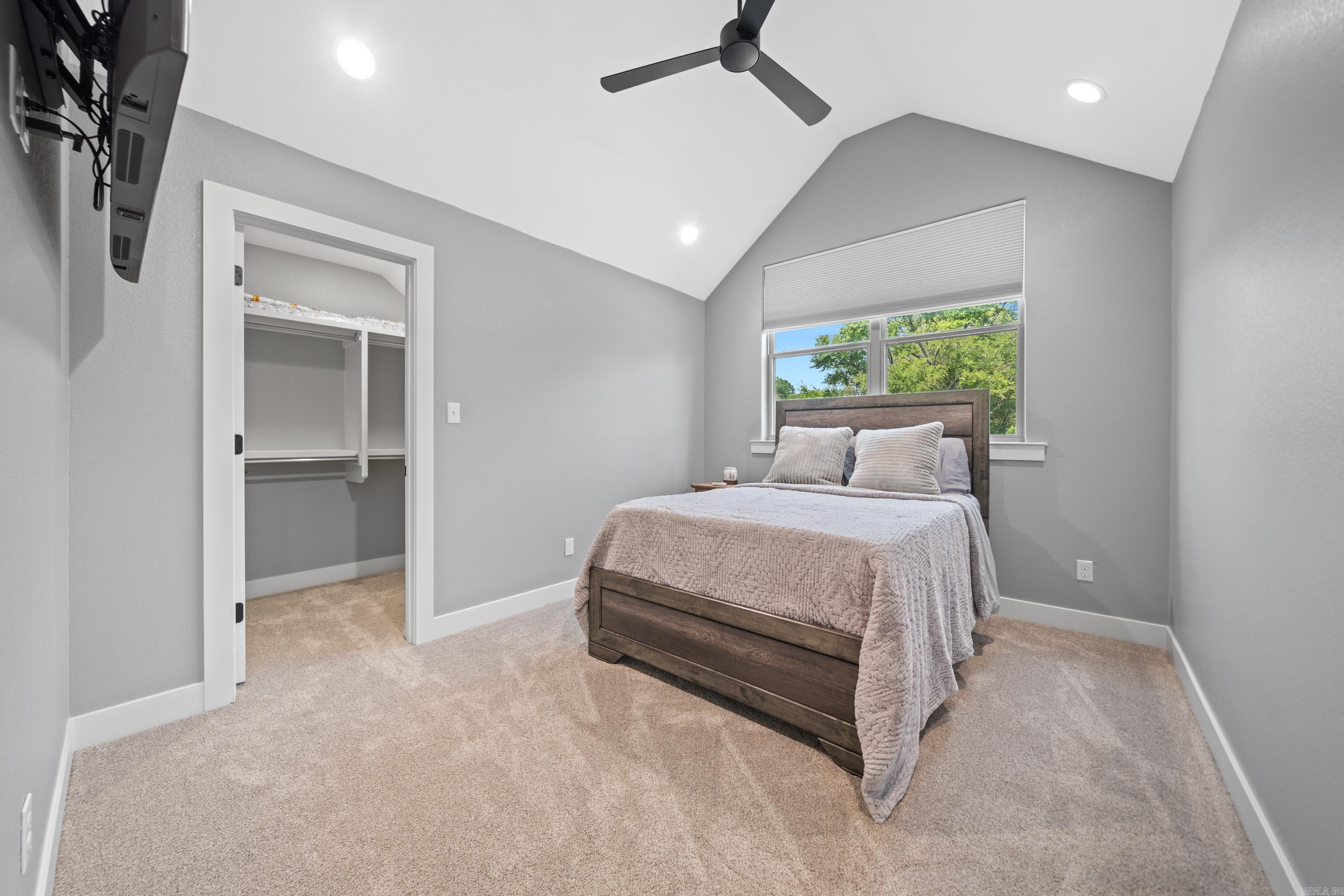 117  Coneflower  Hot Springs, AR