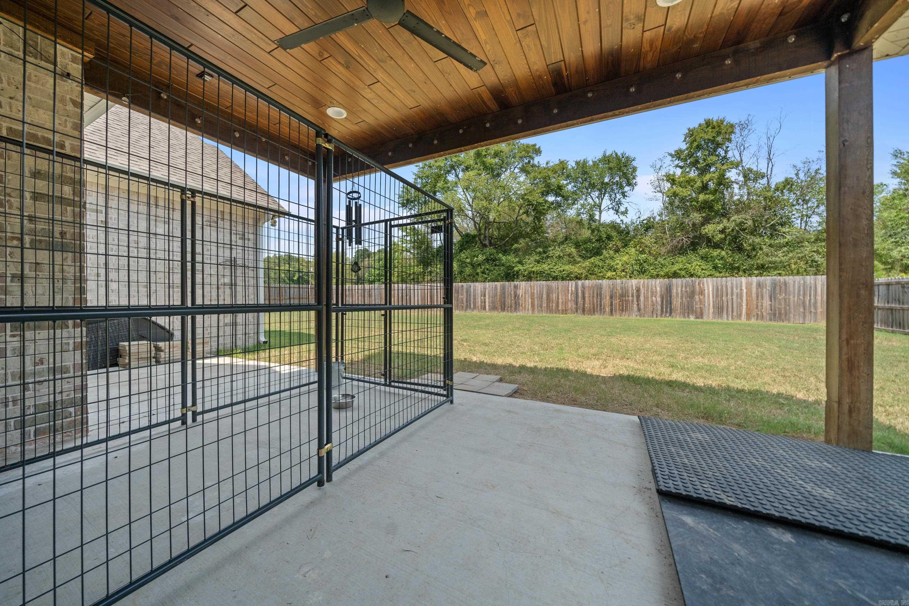 117  Coneflower  Hot Springs, AR