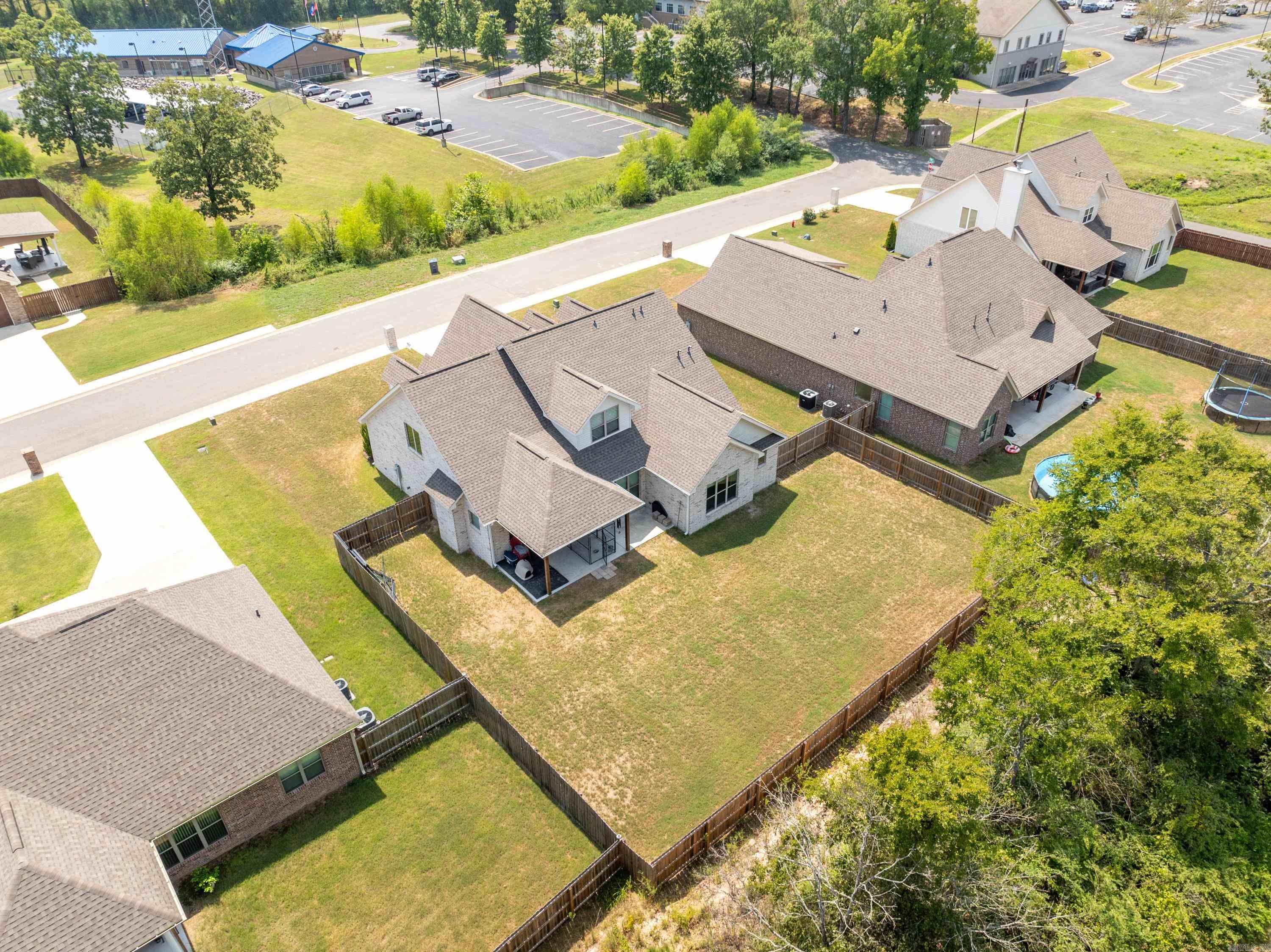 117  Coneflower  Hot Springs, AR