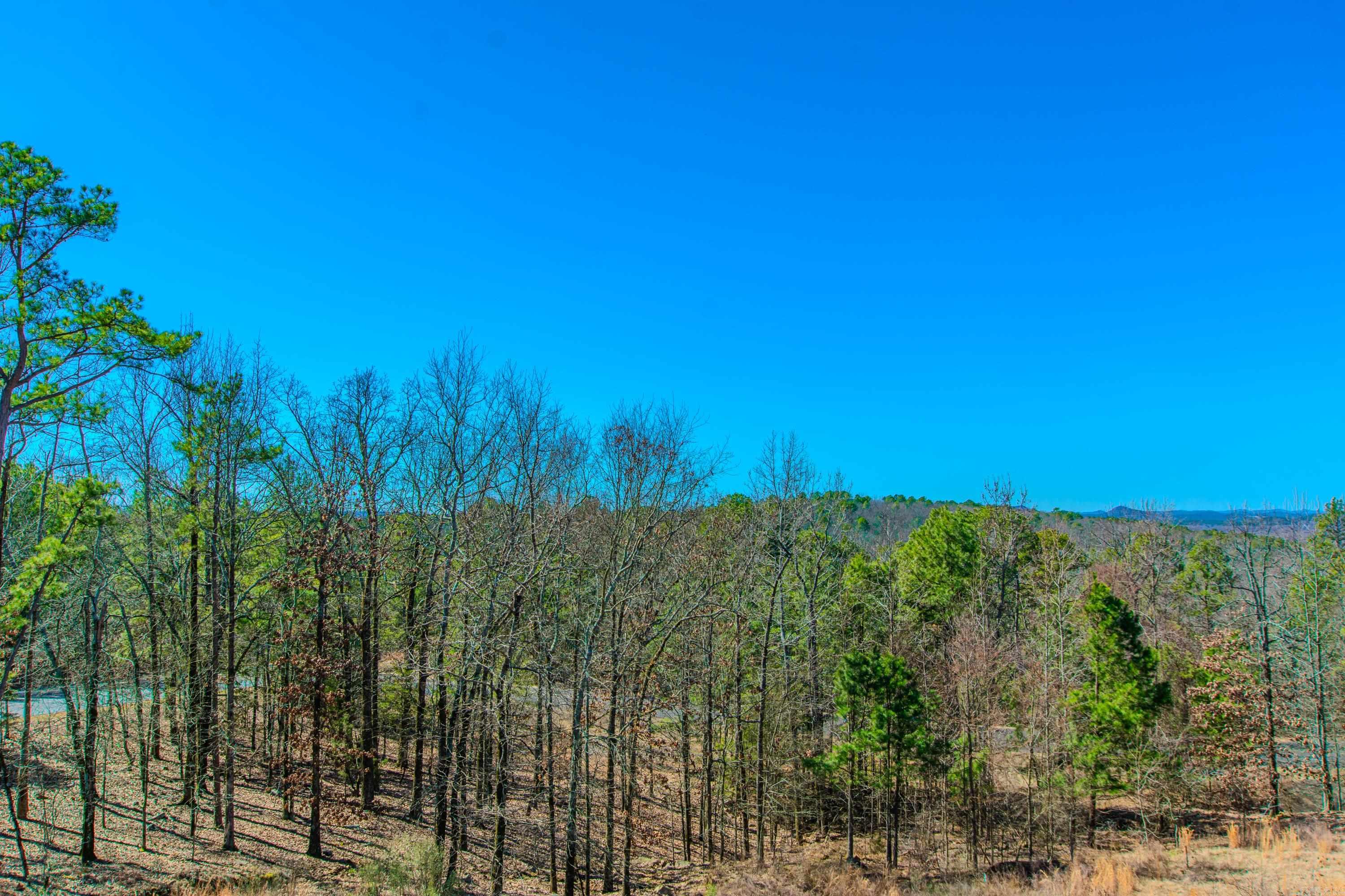 14  Majestic  Maumelle, AR
