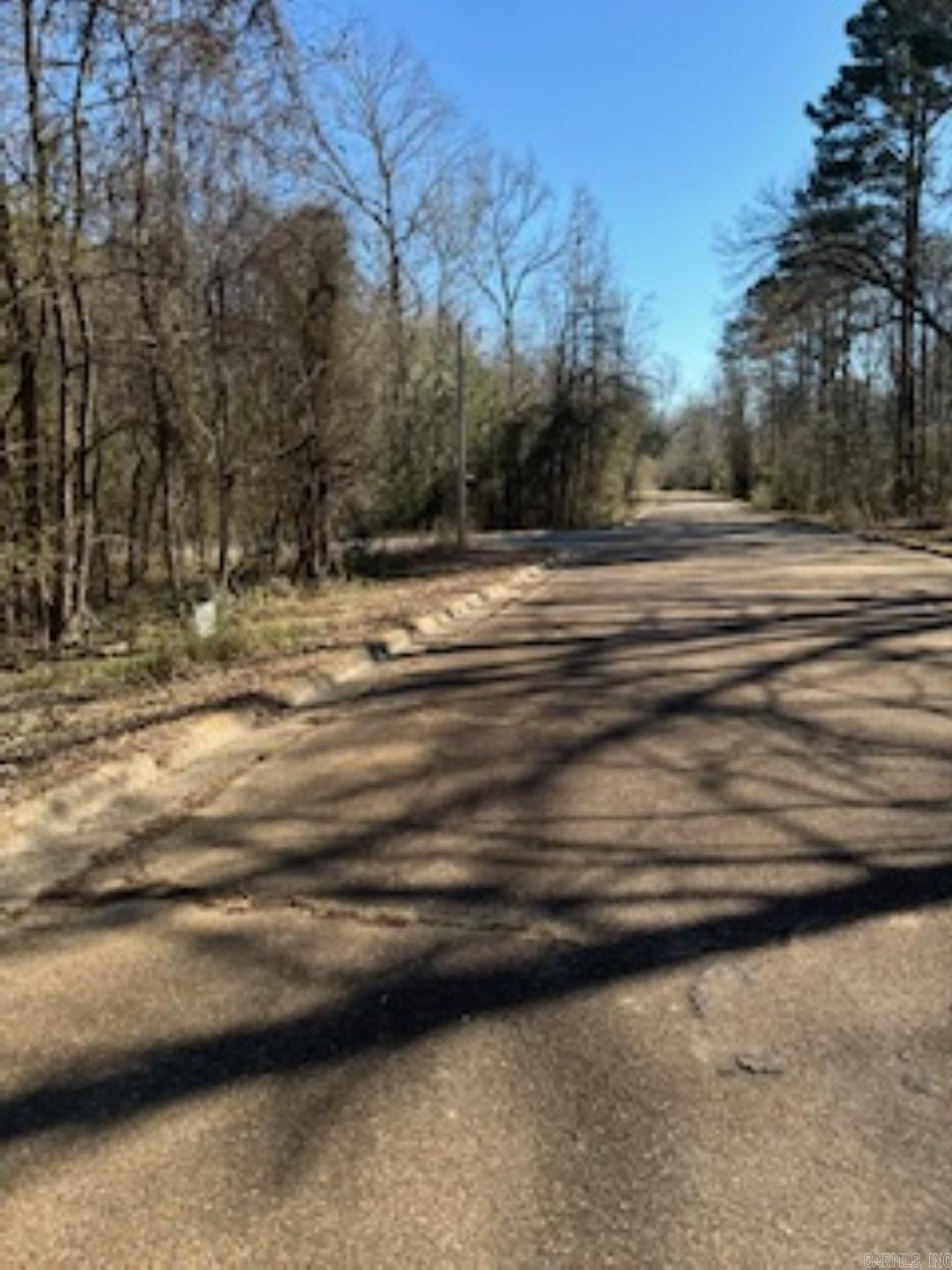 000  Peppertree/Mockingbird/Camellia  Camden, AR