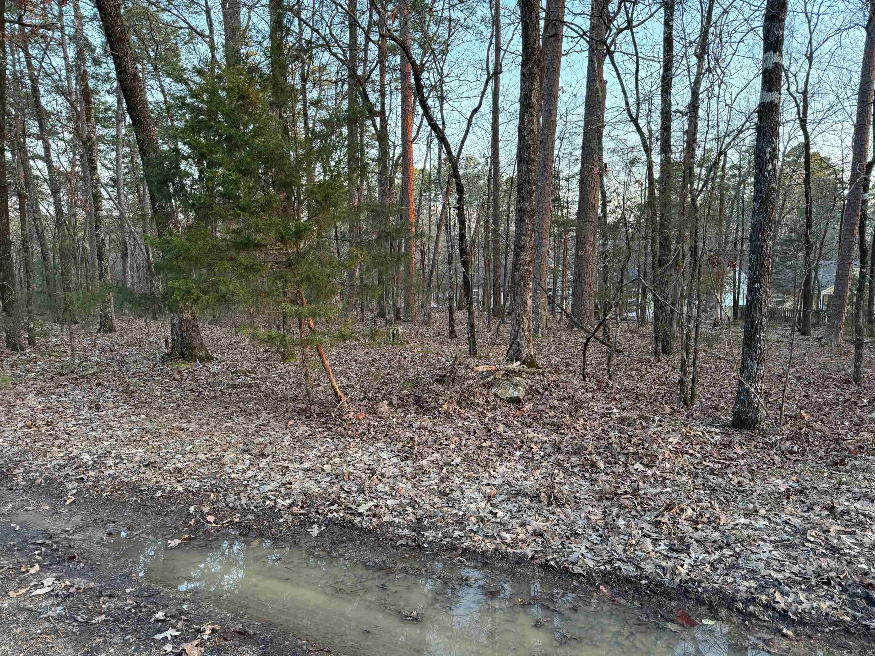 23  JAGUAR WAY  Hot Springs Village, AR