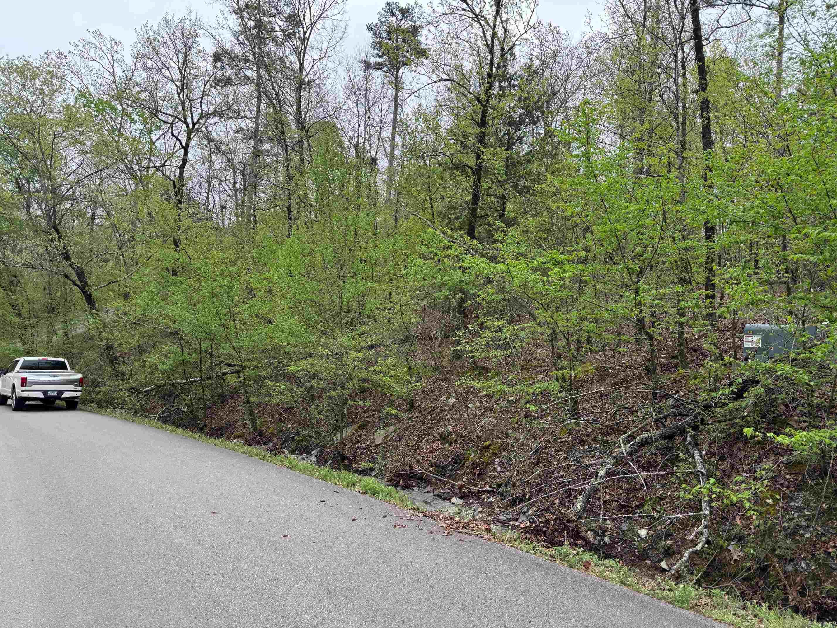 34  SOGA PLACE  Hot Springs Village, AR