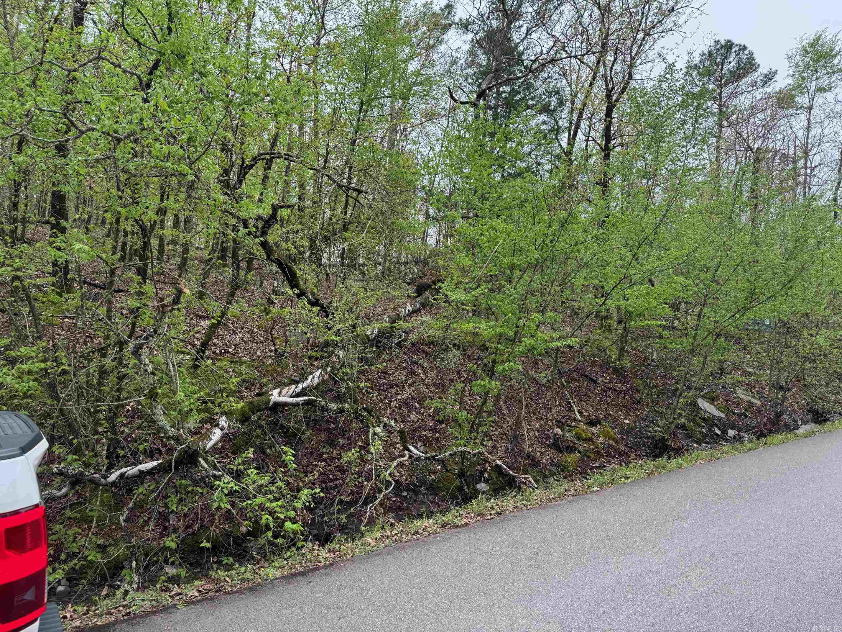 34  SOGA PLACE  Hot Springs Village, AR