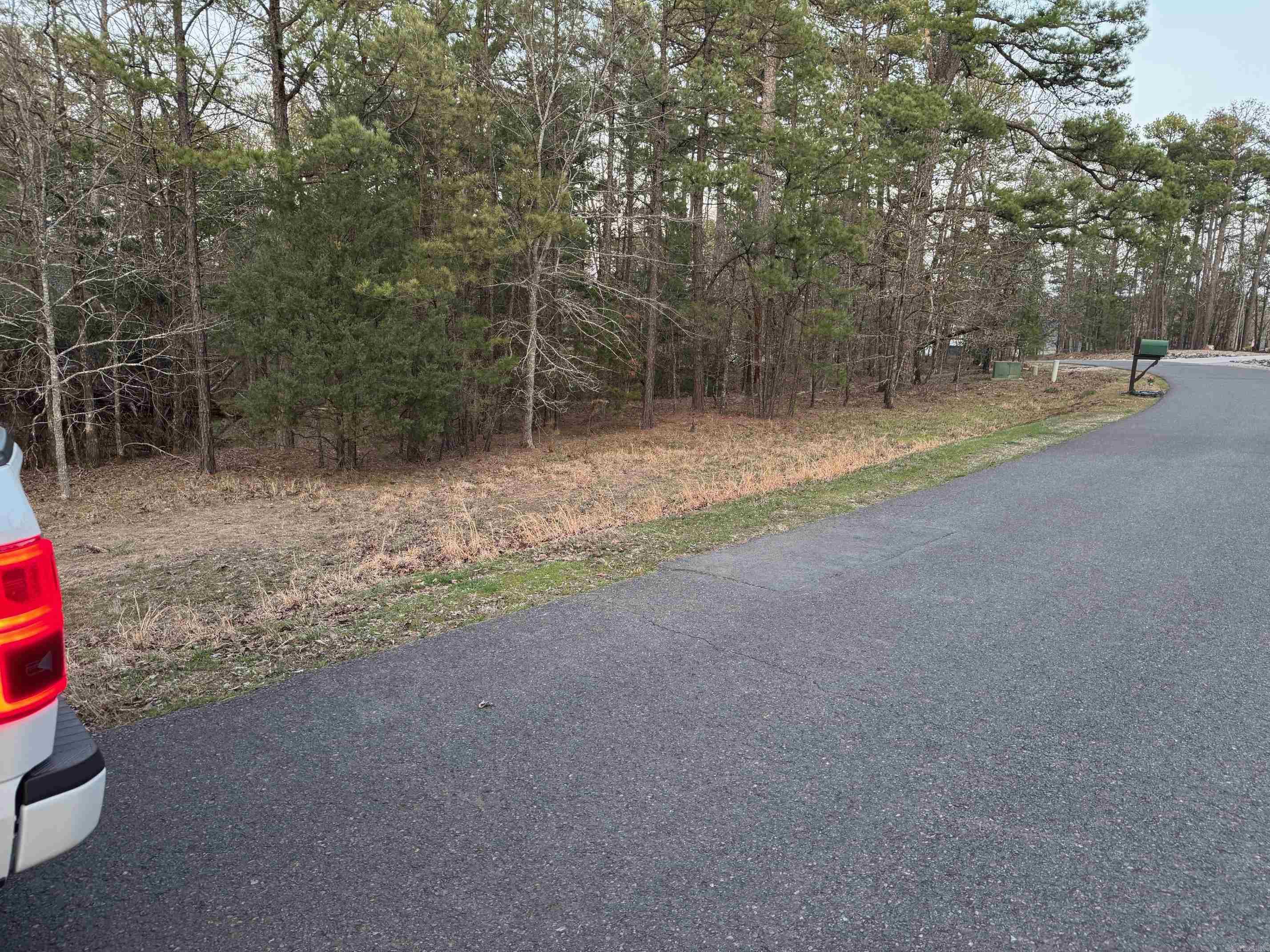 72  SERGIO WAY  Hot Springs Village, AR