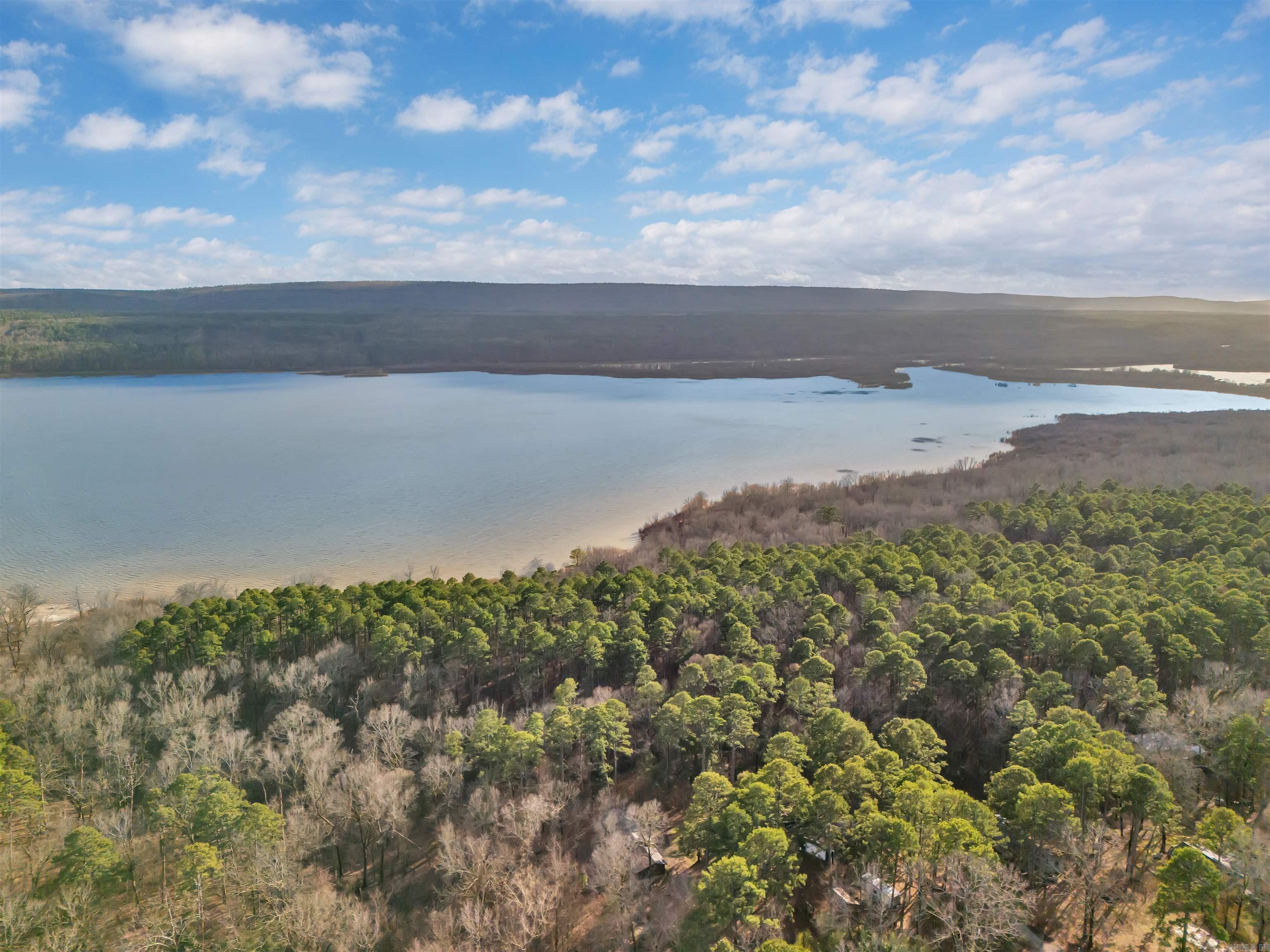10576  Carter Cove  Plainview, AR