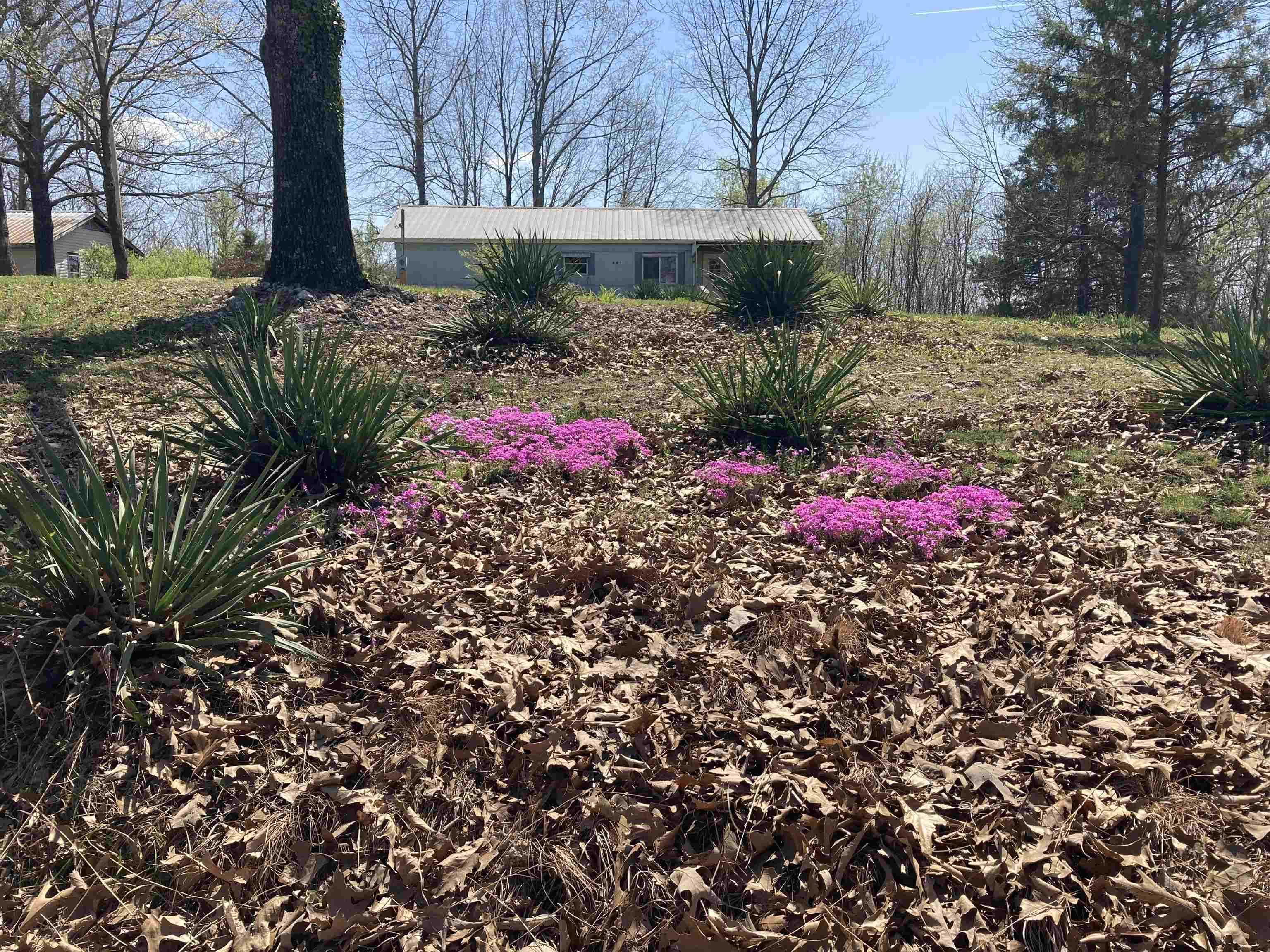 447  Music Hall Lane  Mammoth Spring, AR