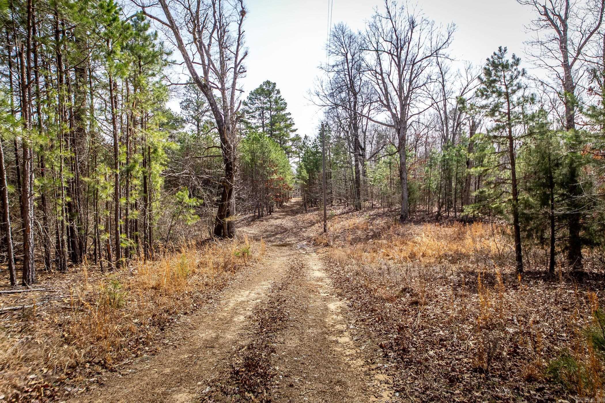 240  Hipp  Dennard, AR