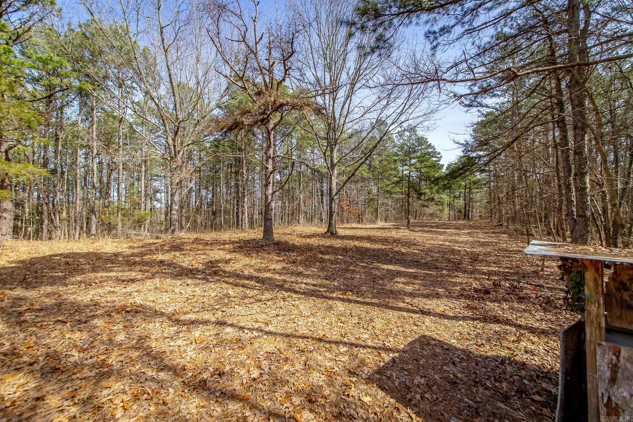 240  Hipp  Dennard, AR