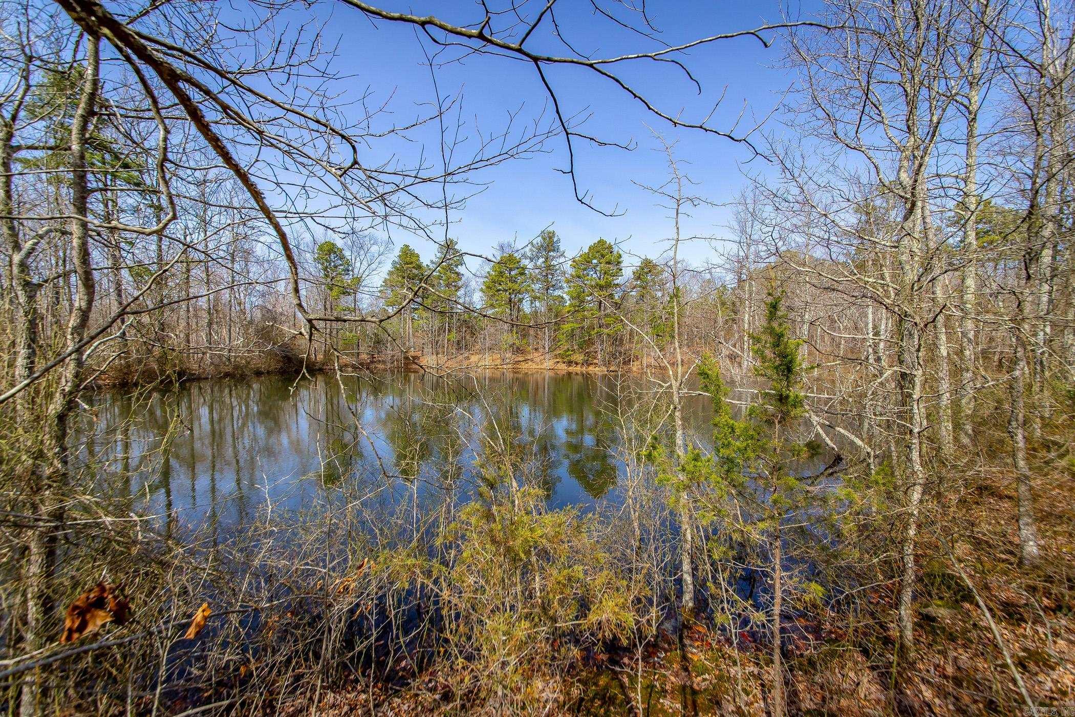 240  Hipp  Dennard, AR
