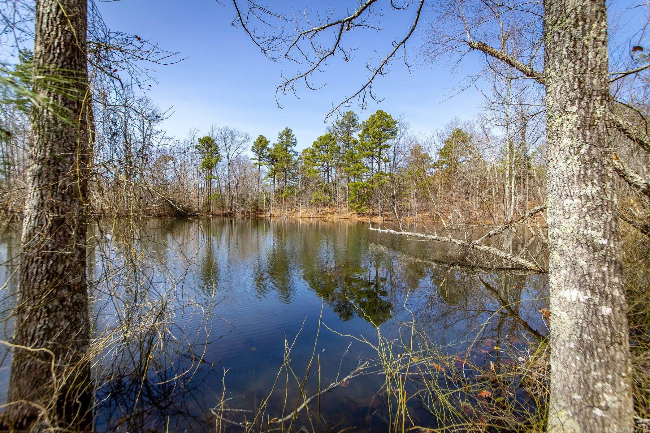 240  Hipp  Dennard, AR
