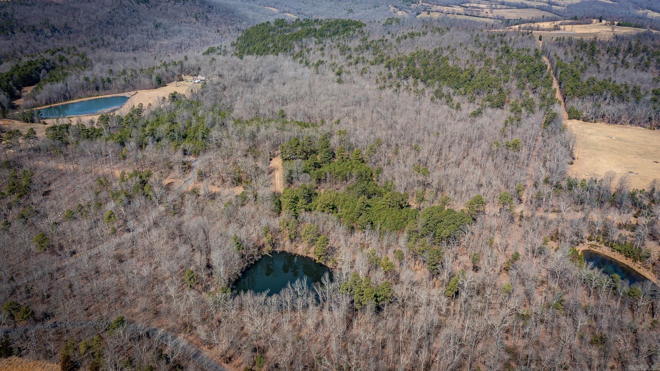 240  Hipp  Dennard, AR