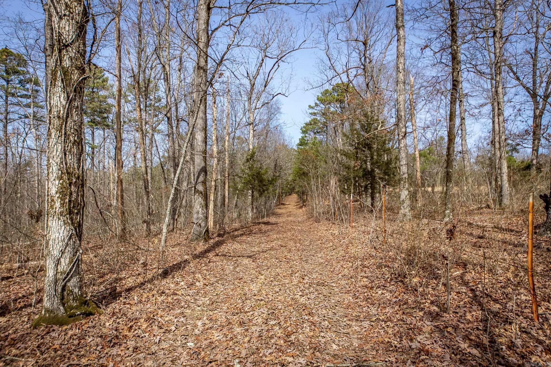 240  Hipp  Dennard, AR
