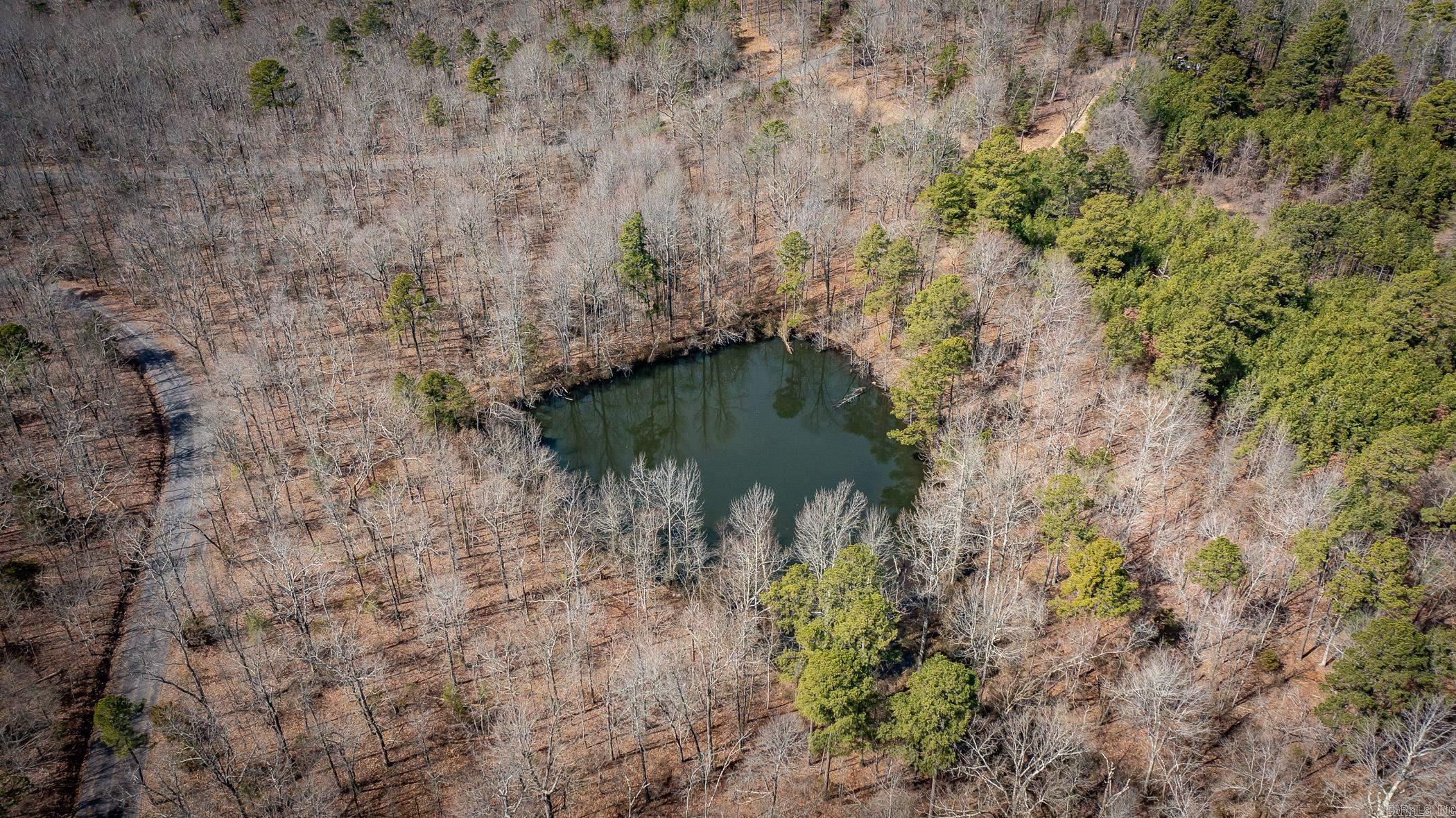 240  Hipp  Dennard, AR