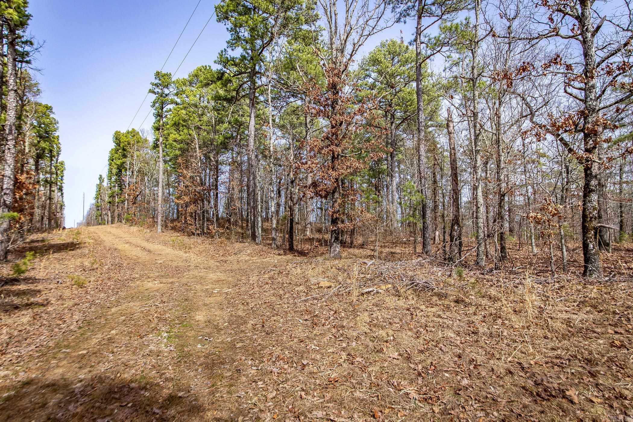 240  Hipp  Dennard, AR