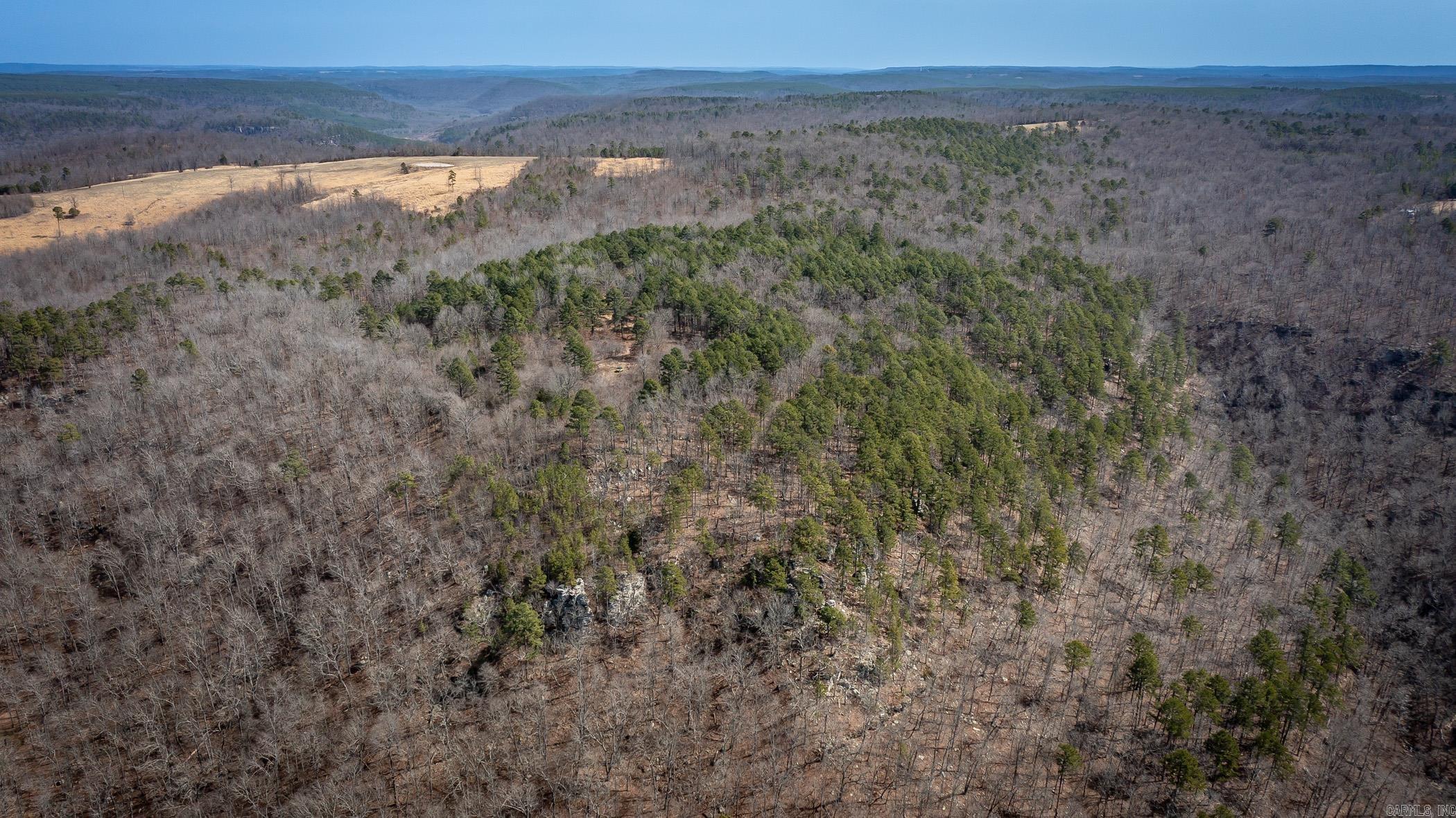 240  Hipp  Dennard, AR