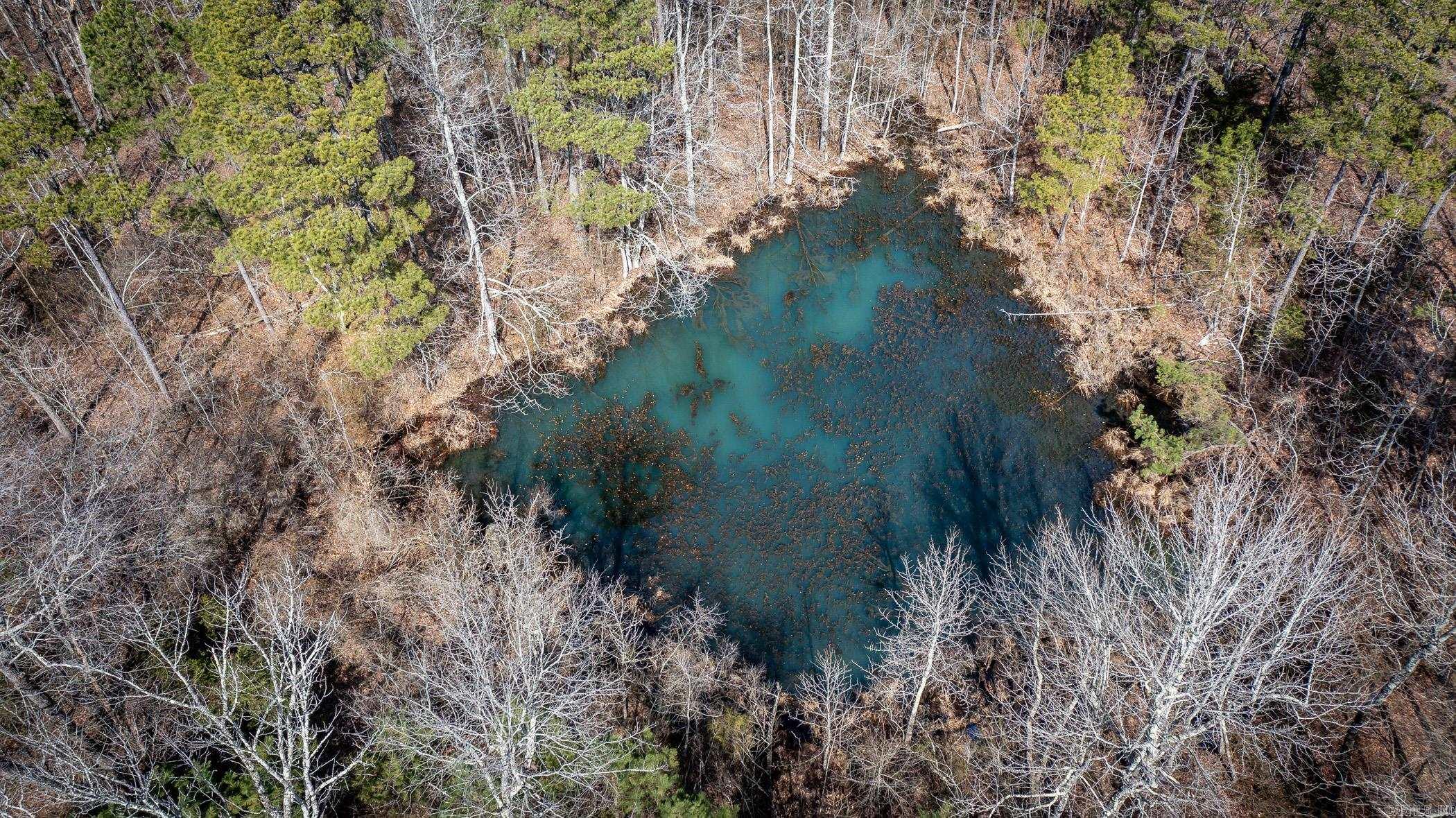 240  Hipp  Dennard, AR