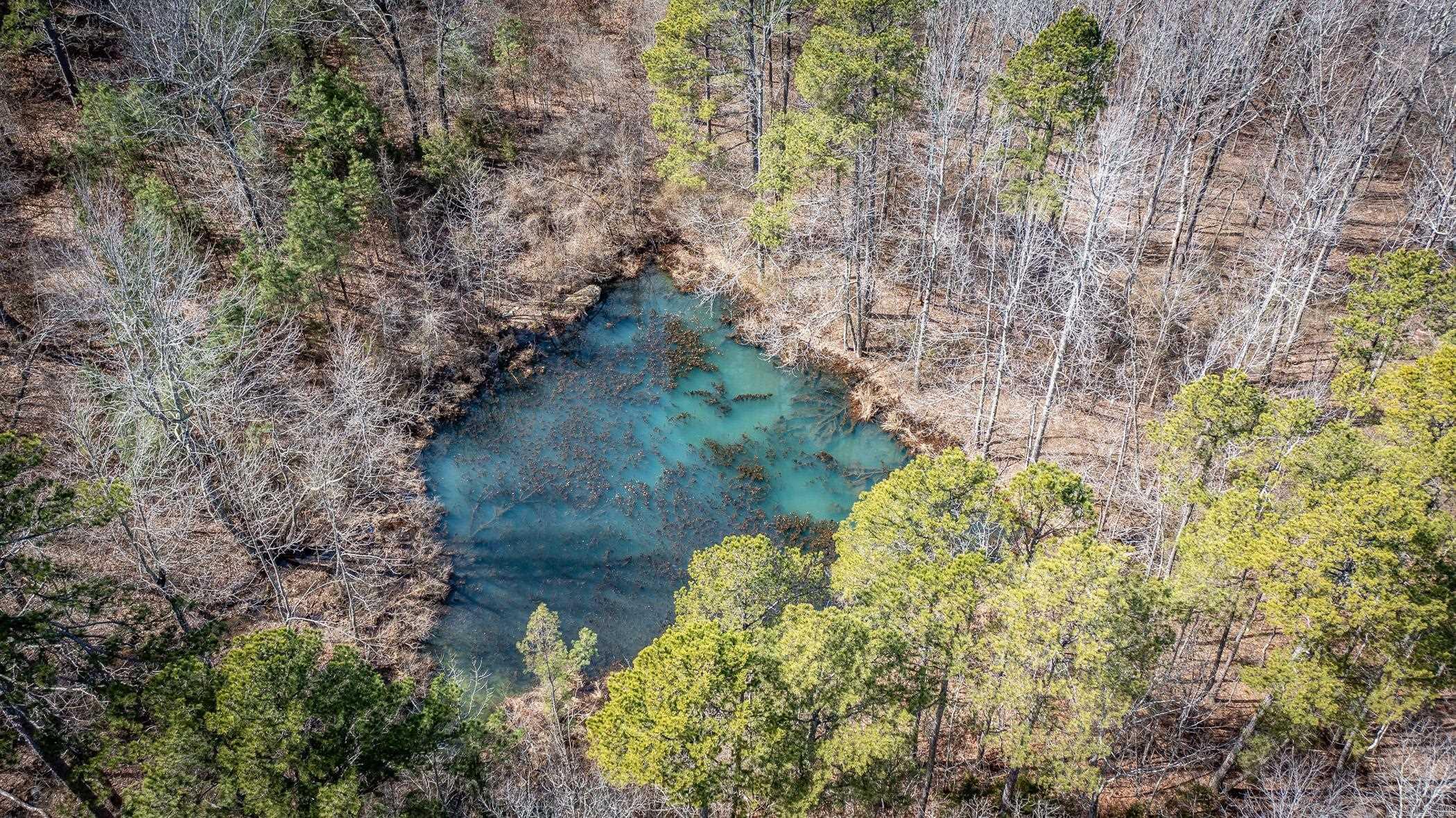 240  Hipp  Dennard, AR