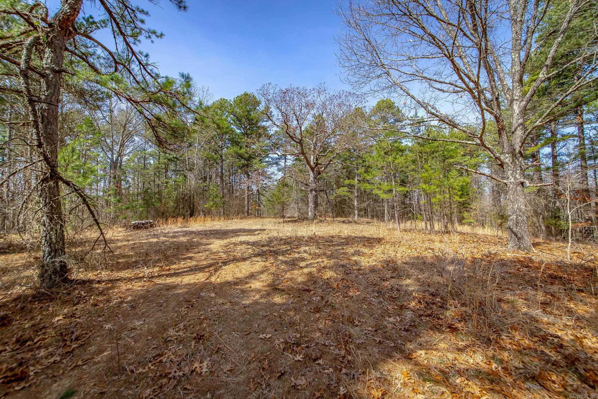 240  Hipp  Dennard, AR
