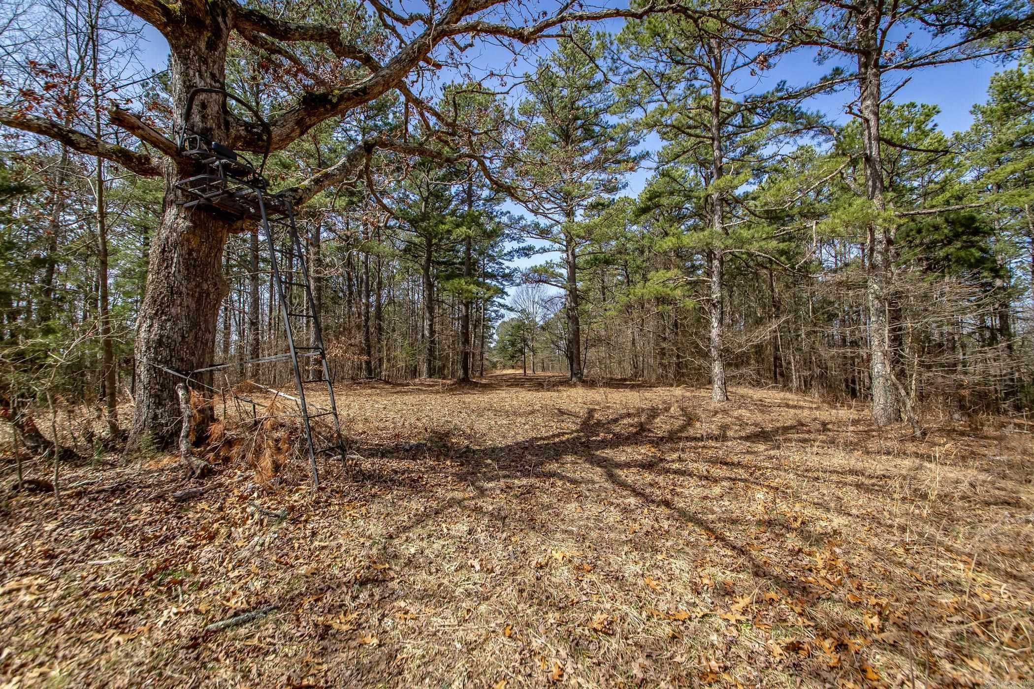 240  Hipp  Dennard, AR