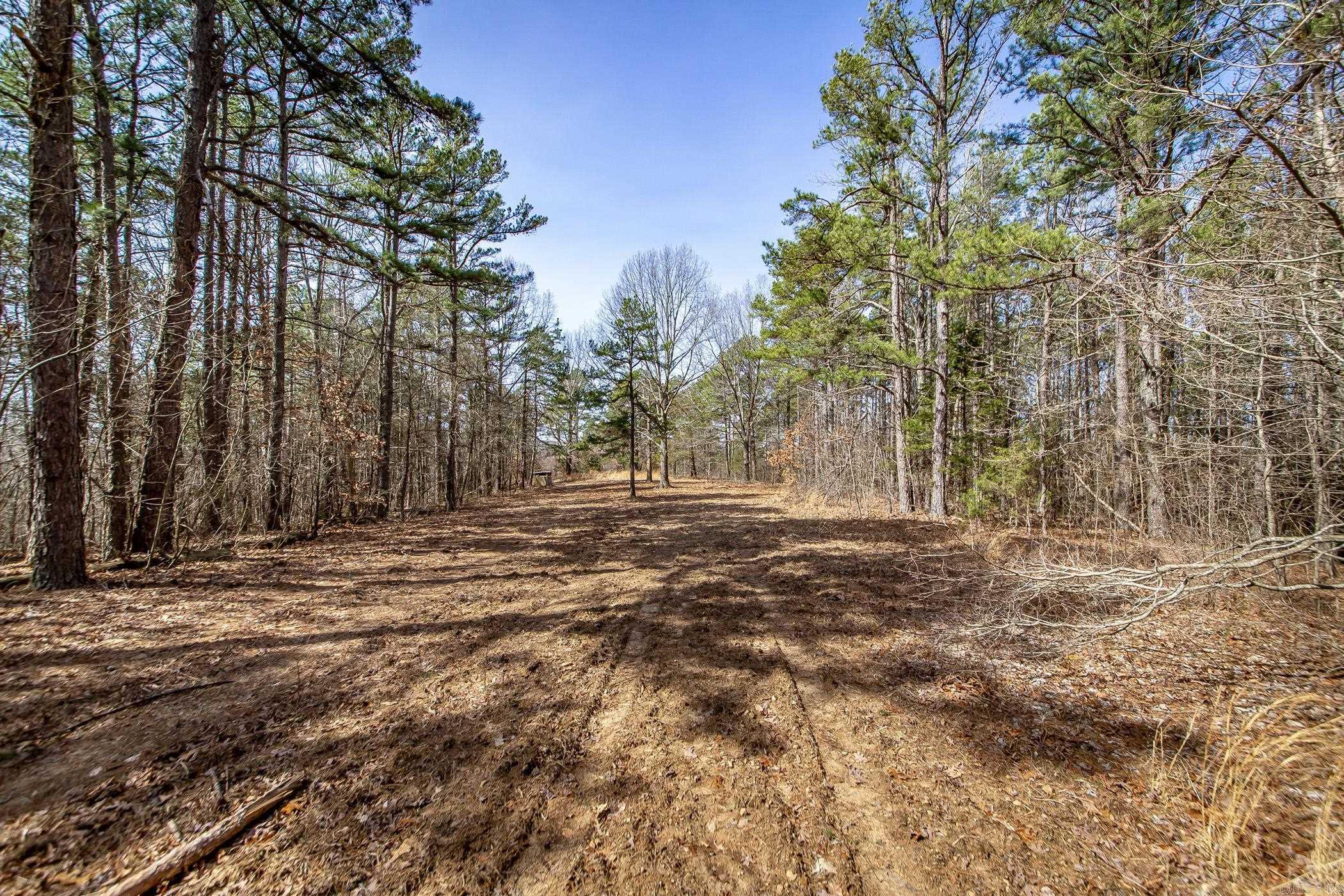 240  Hipp  Dennard, AR