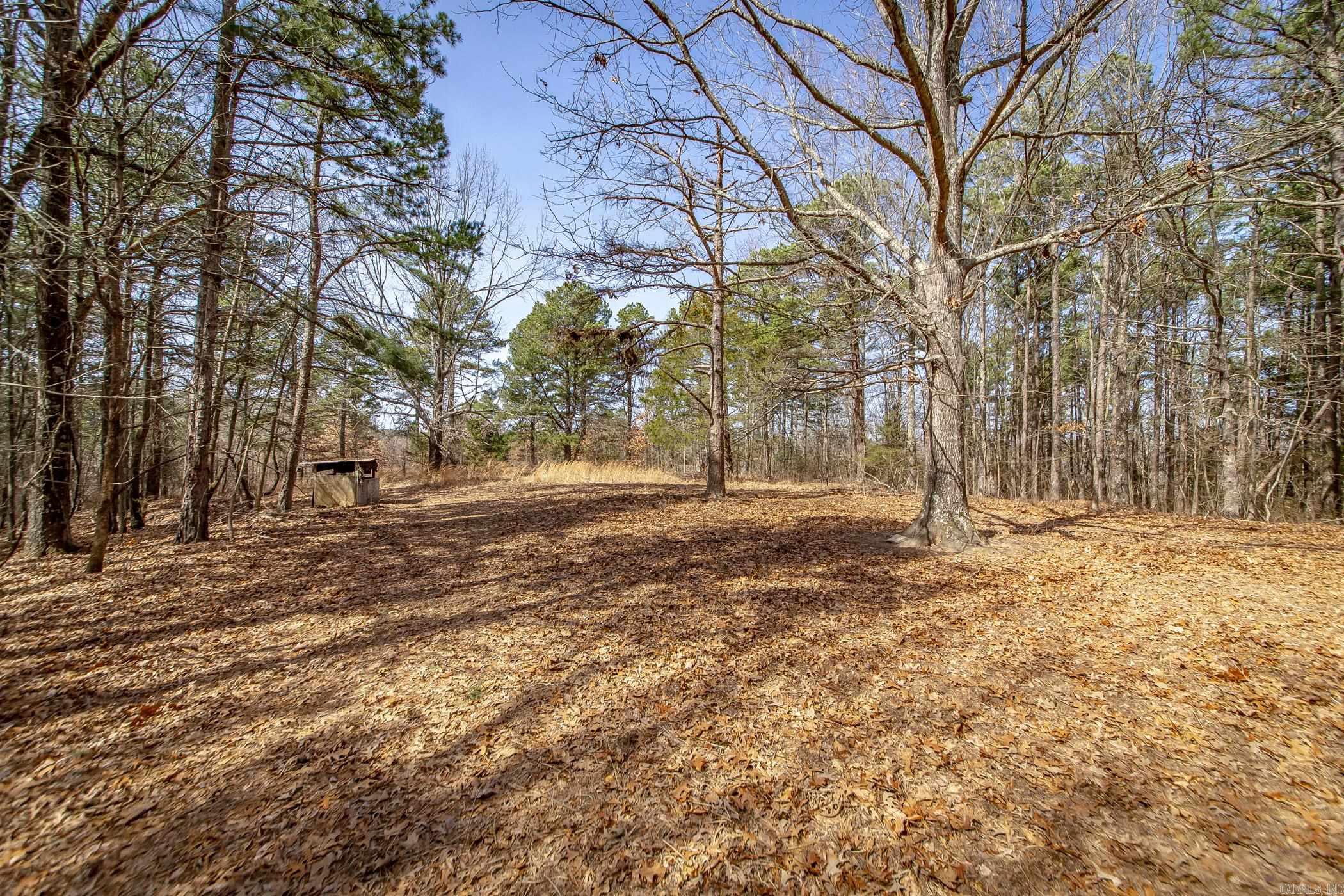 240  Hipp  Dennard, AR