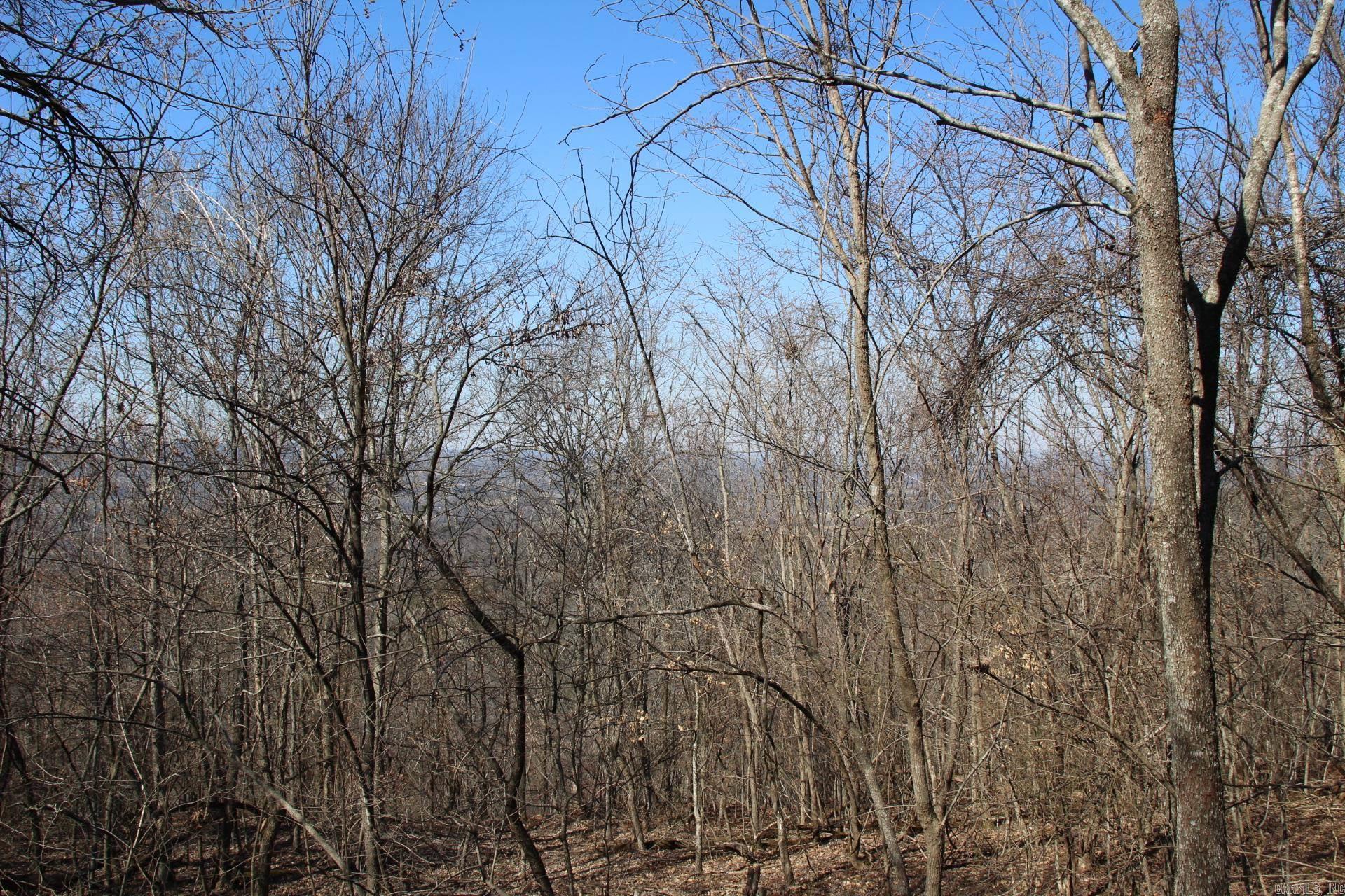 332  Longway  Yellville, AR